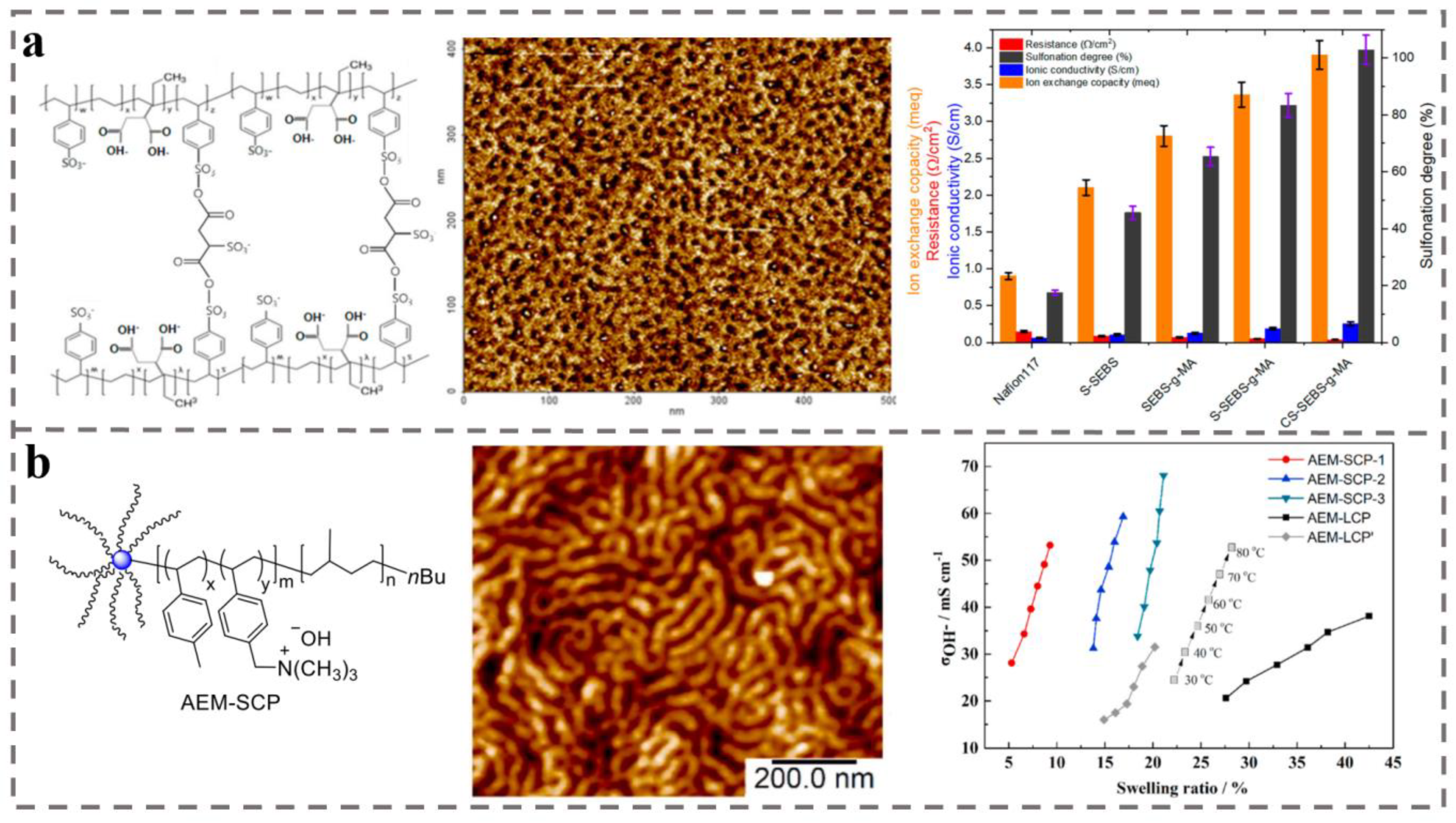 Polymers 14 04568 g010