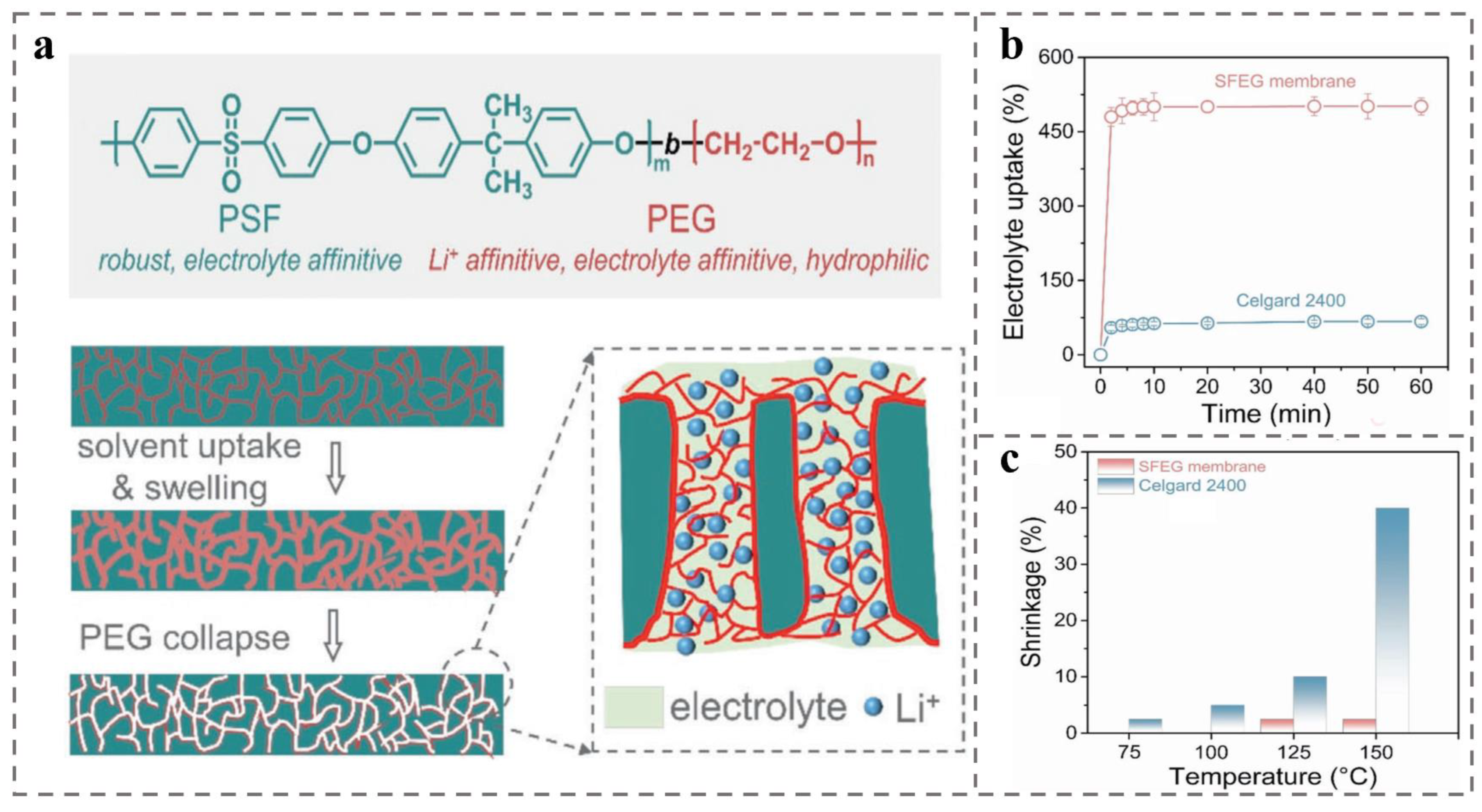 Polymers 14 04568 g011