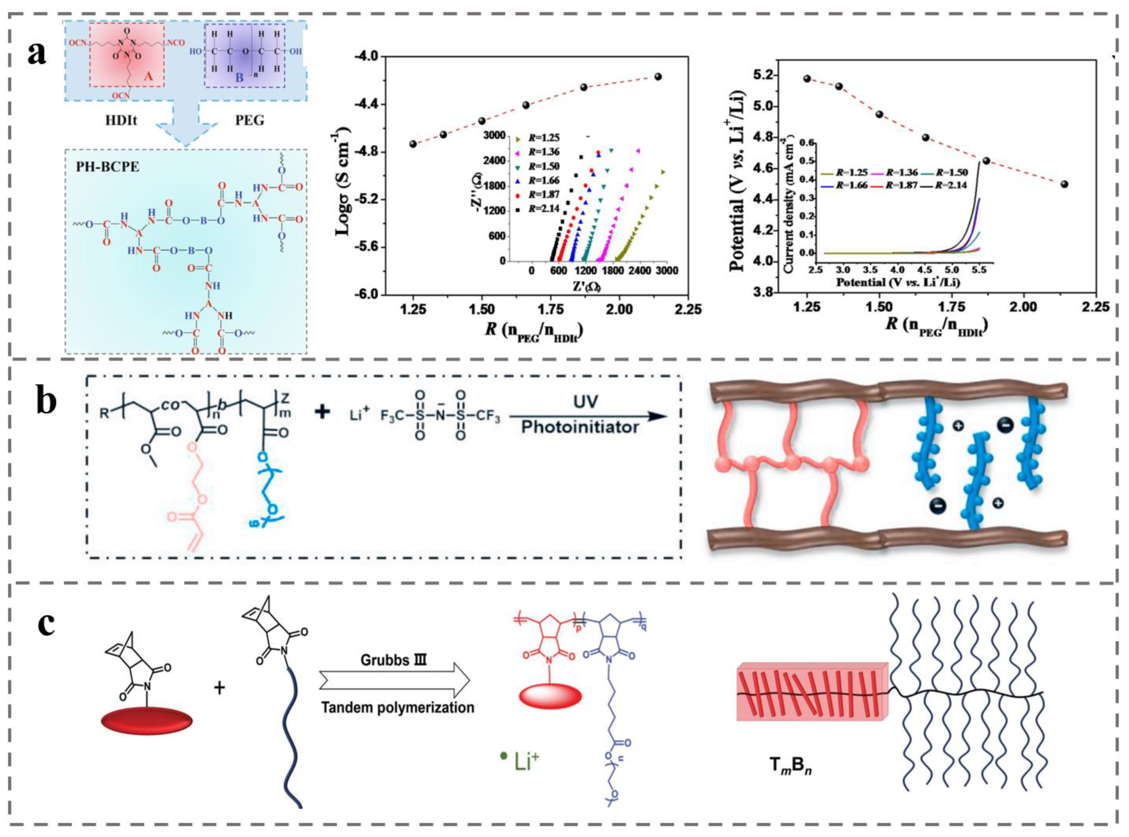 Polymers 14 04568 g012