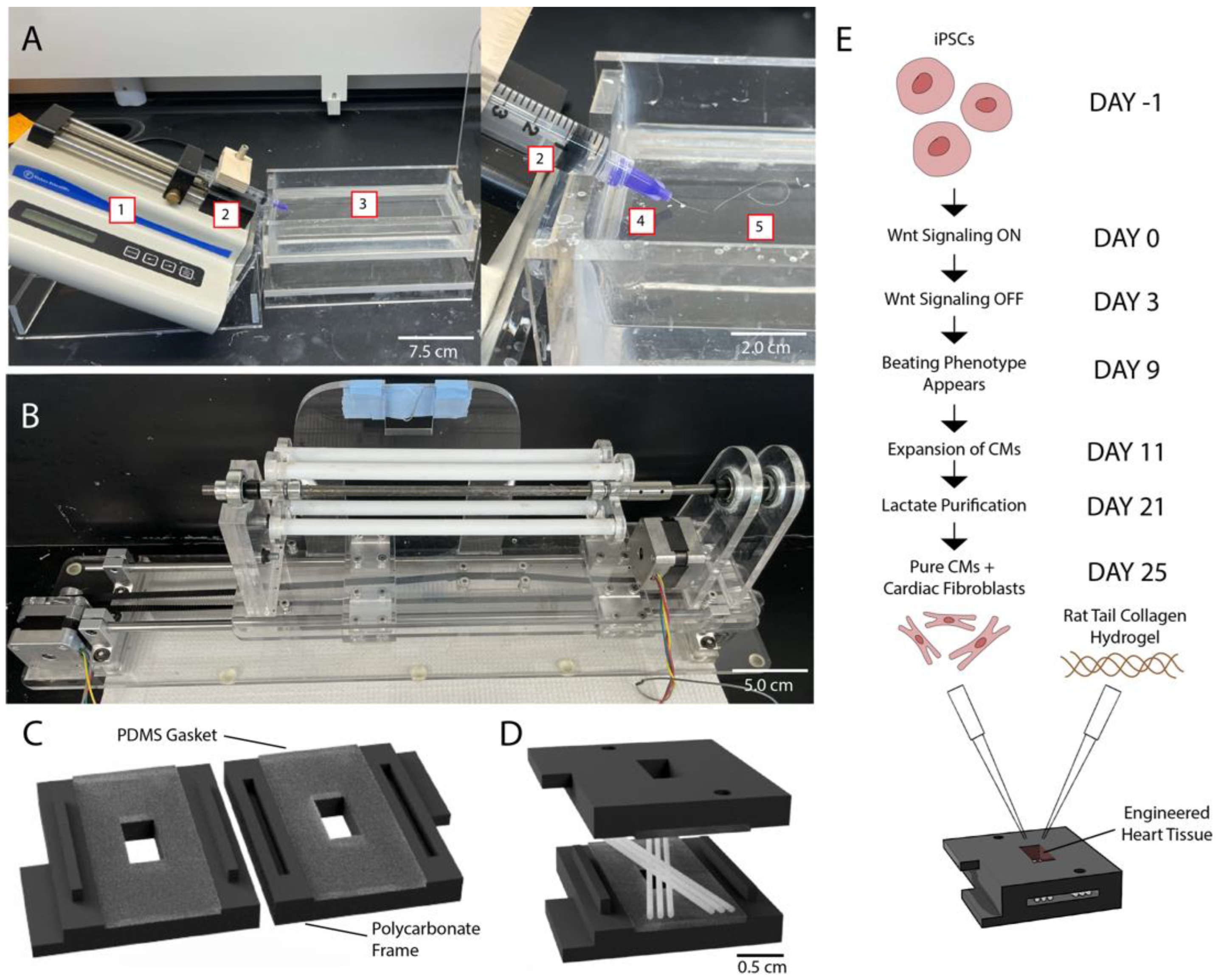 Polymers 14 04571 g001 Polymers 14 04571 g001