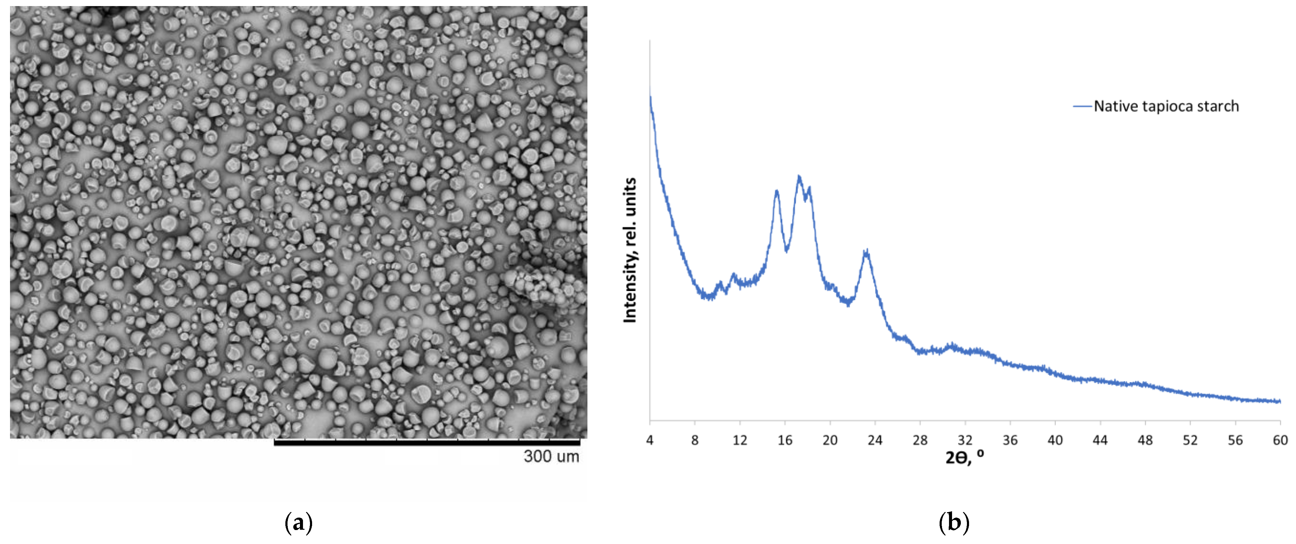 Polymers 14 04575 g001 Polymers 14 04575 g001
