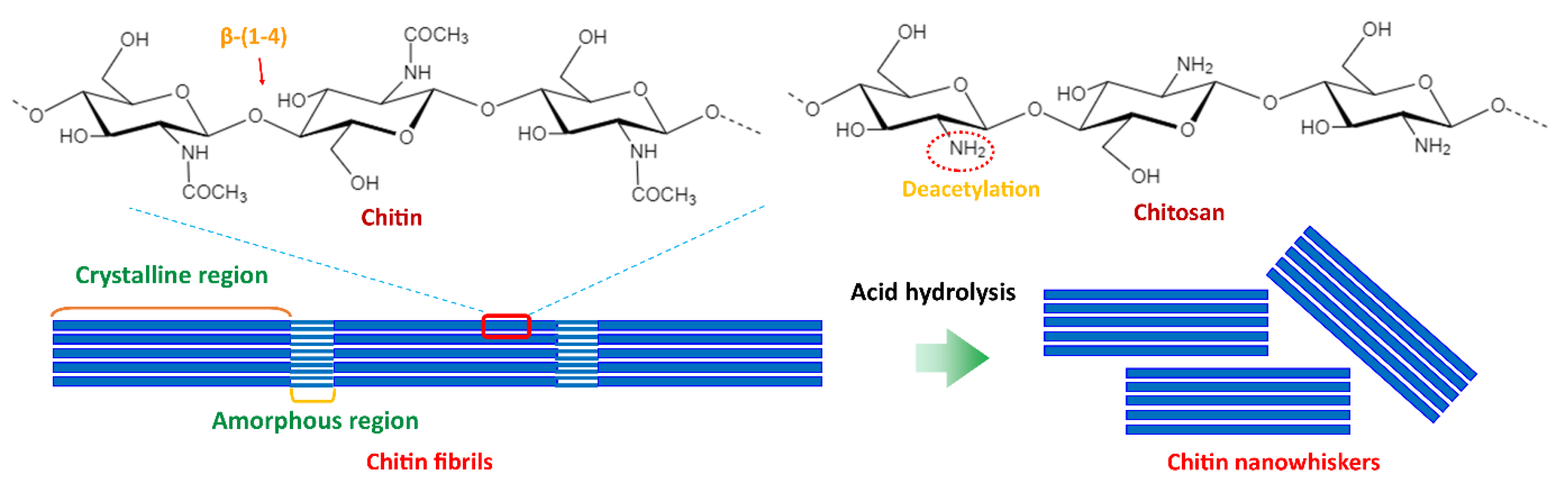 Polymers 14 04578 g008 Polymers 14 04578 g008