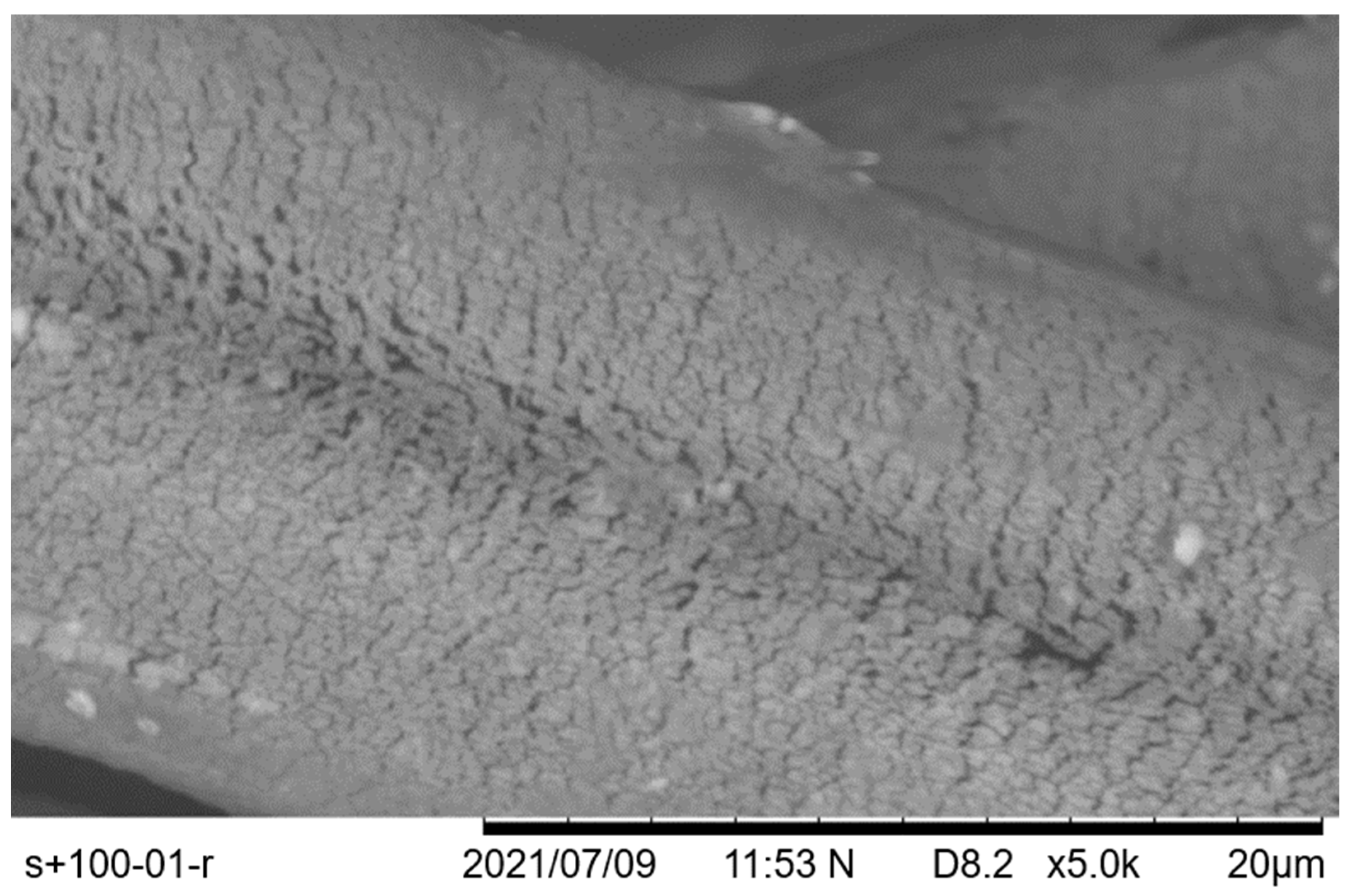 Polymers 14 04581 g006