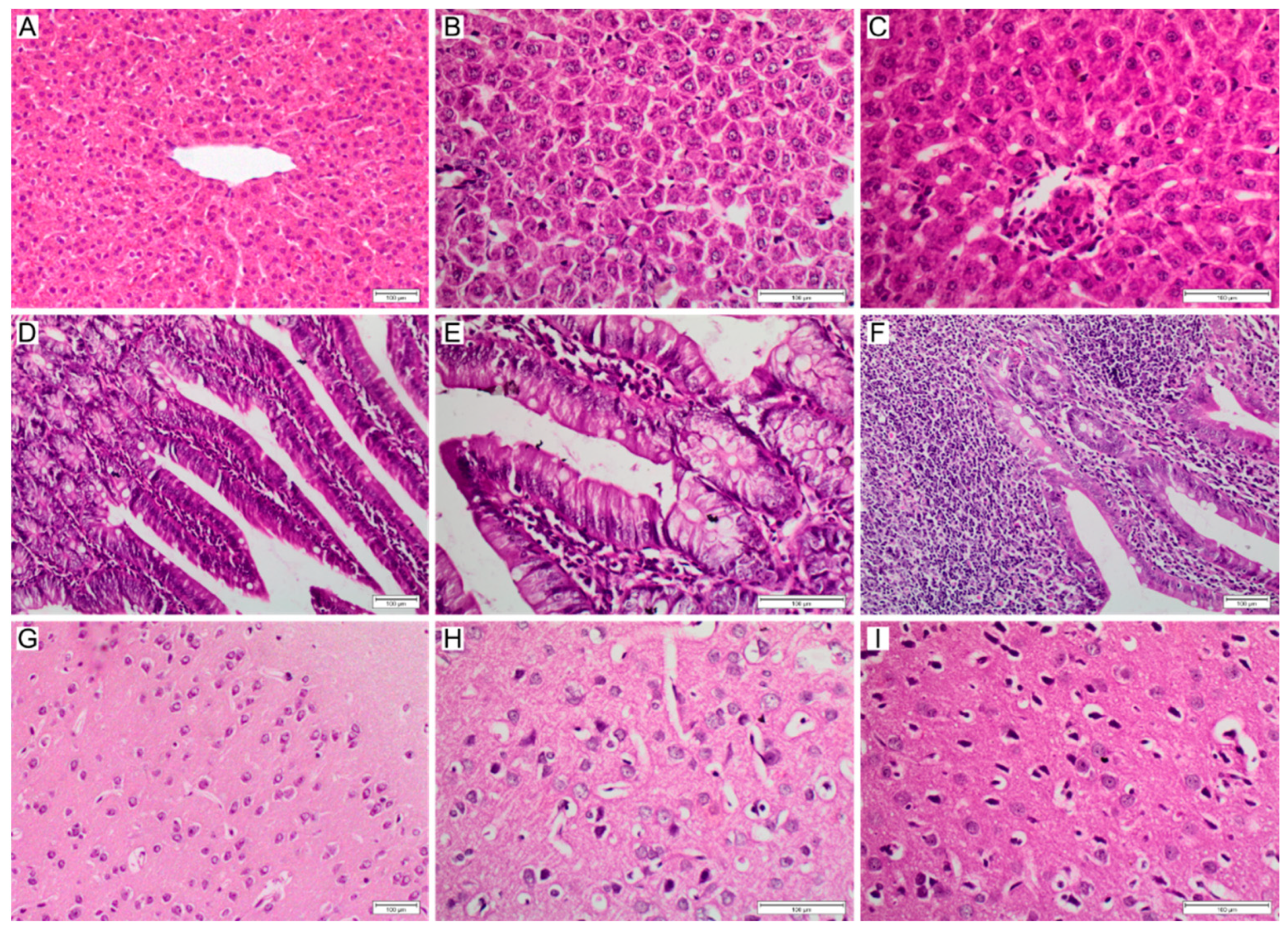 Polymers 14 04582 g007 Polymers 14 04582 g007