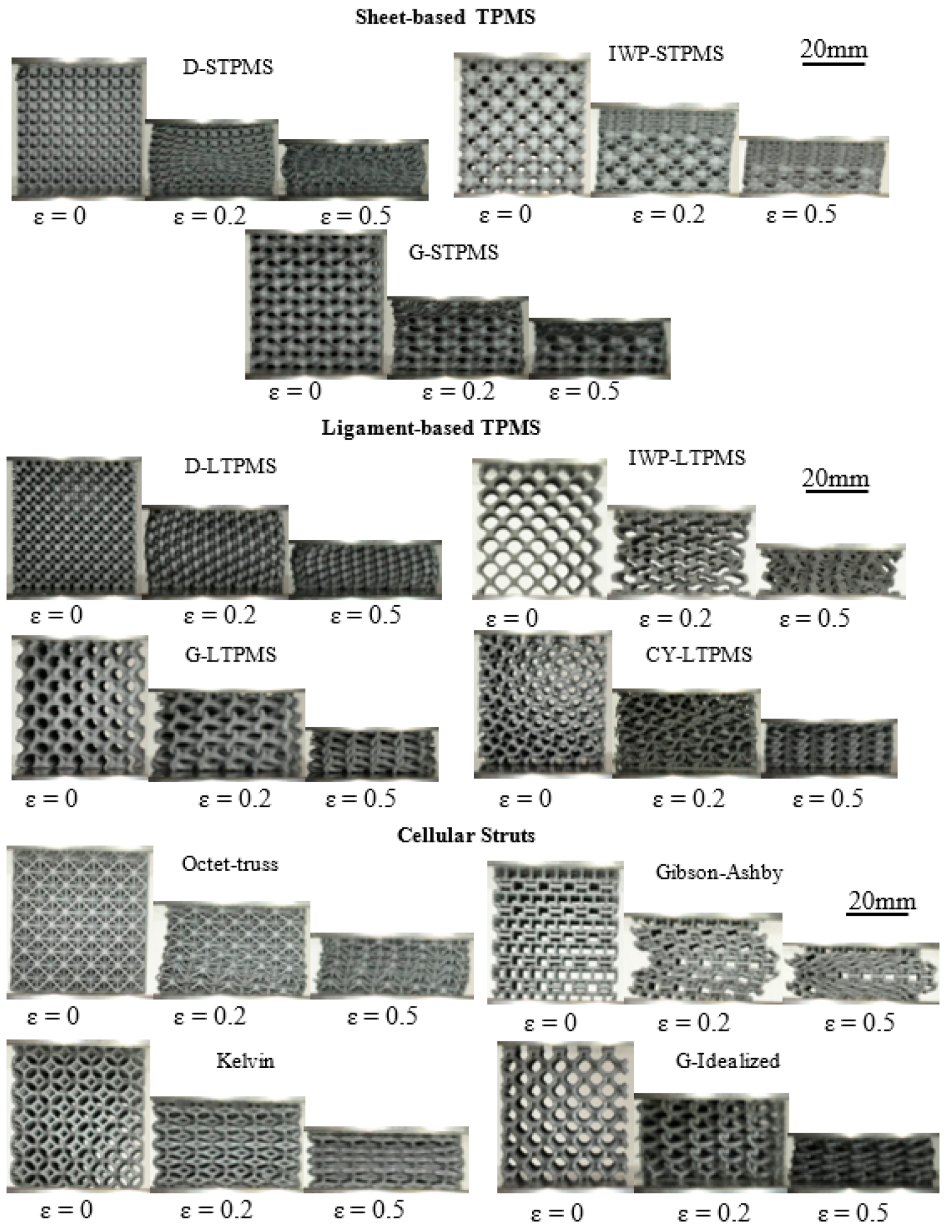 Polymers 14 04583 g003 Polymers 14 04583 g003