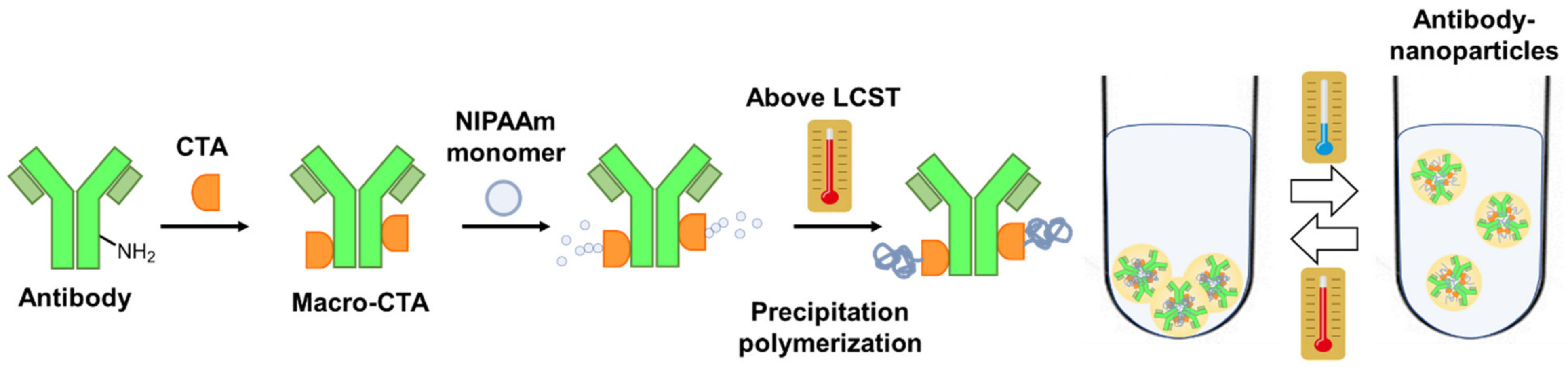 Polymers 14 04584 g001 Polymers 14 04584 g001