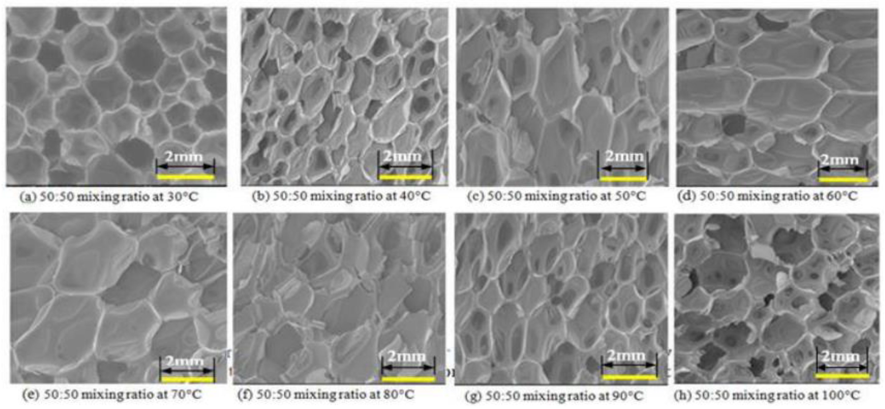 Polymers 14 04586 g003 Polymers 14 04586 g003