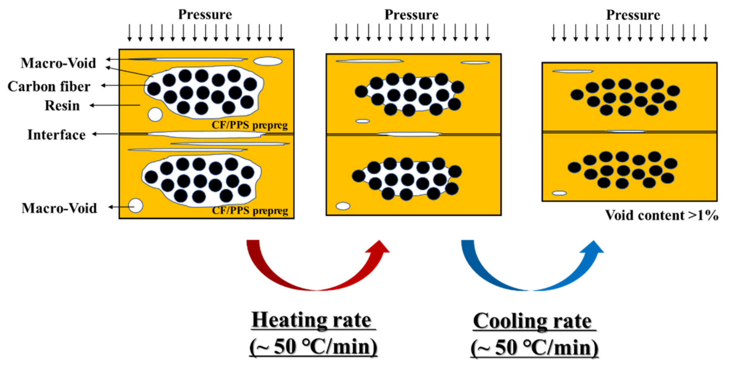 Polymers 14 04587 g002