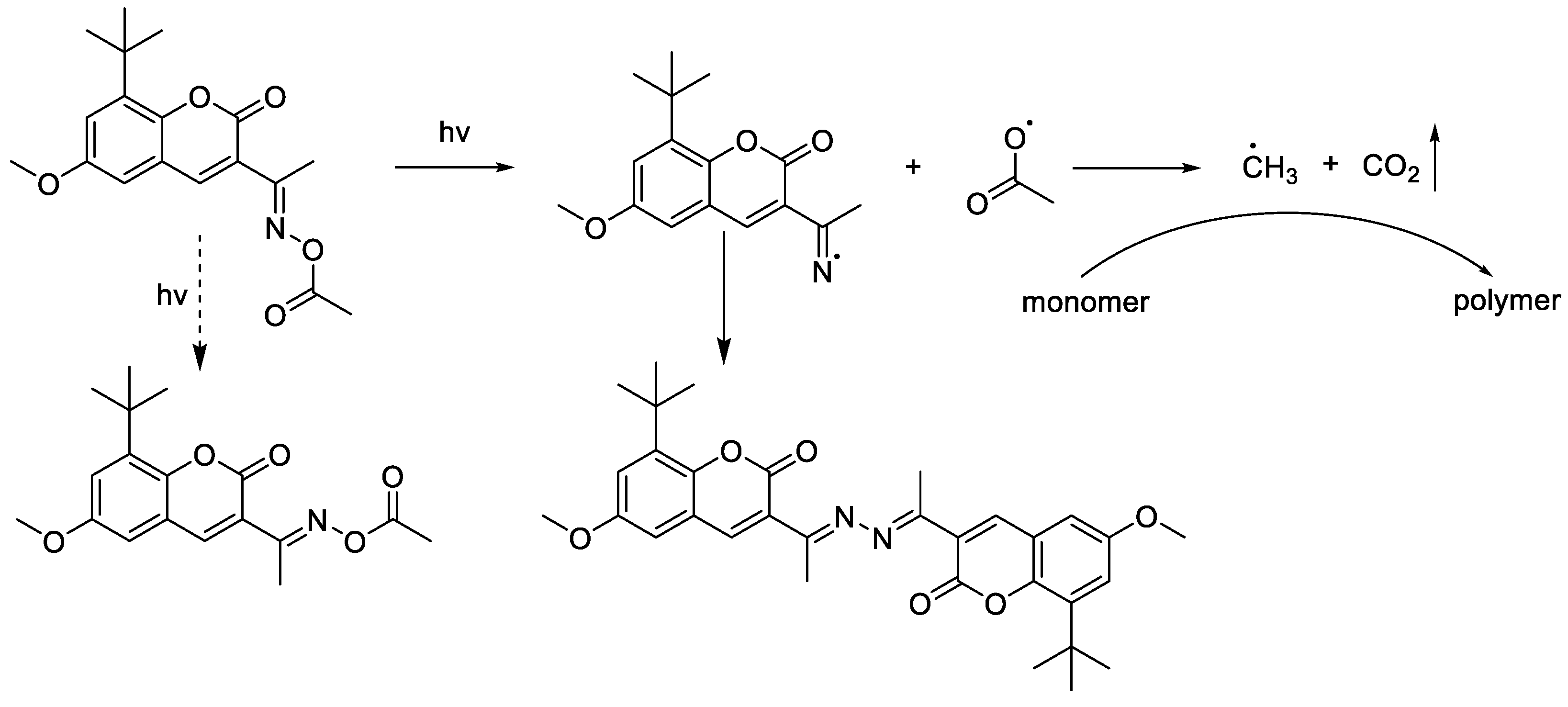 Polymers 14 04588 sch003