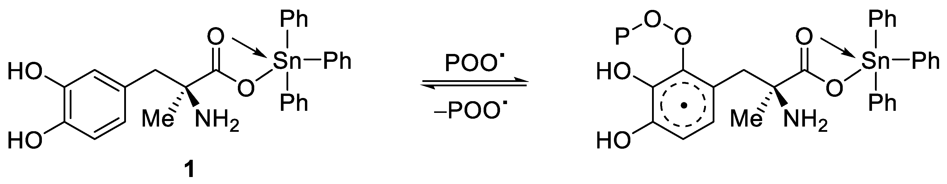 Polymers 14 04590 sch004 Polymers 14 04590 sch004