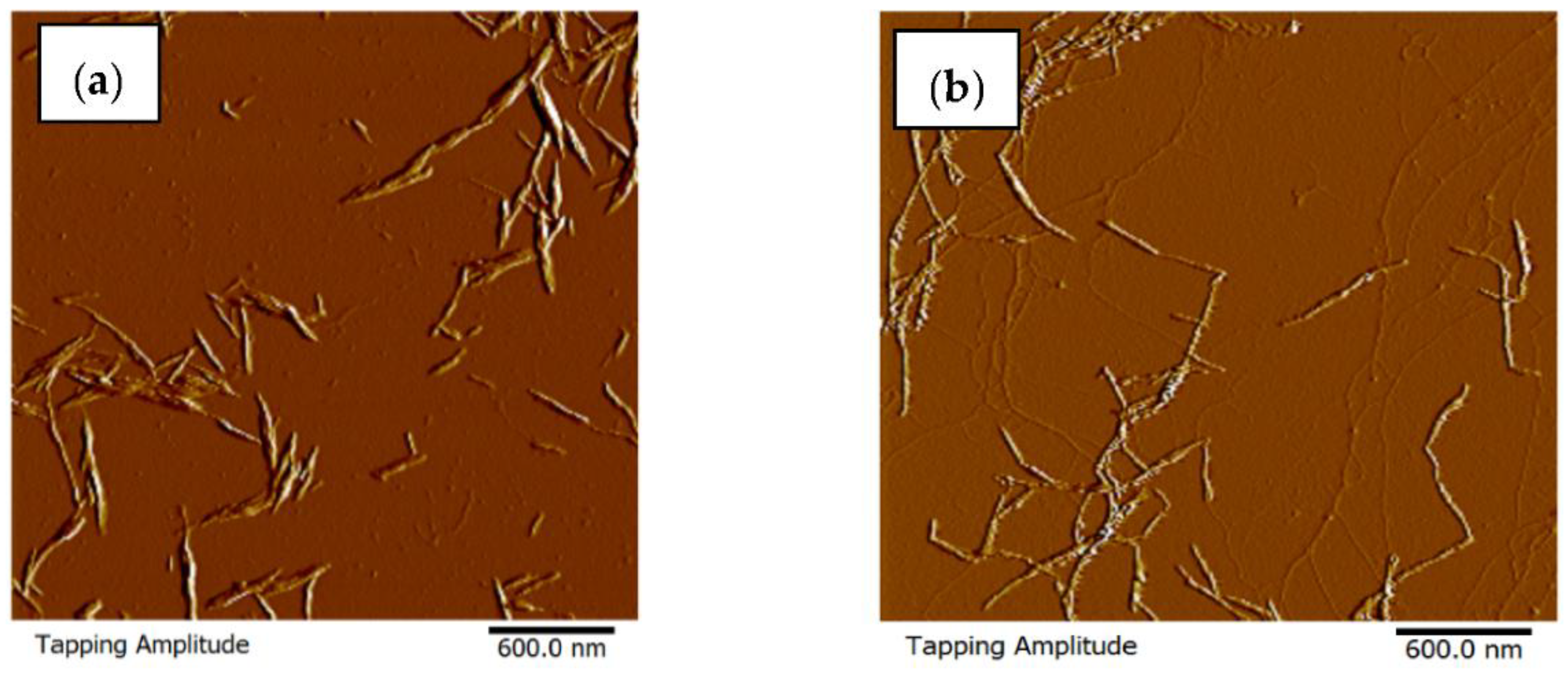 Polymers 14 04591 g002