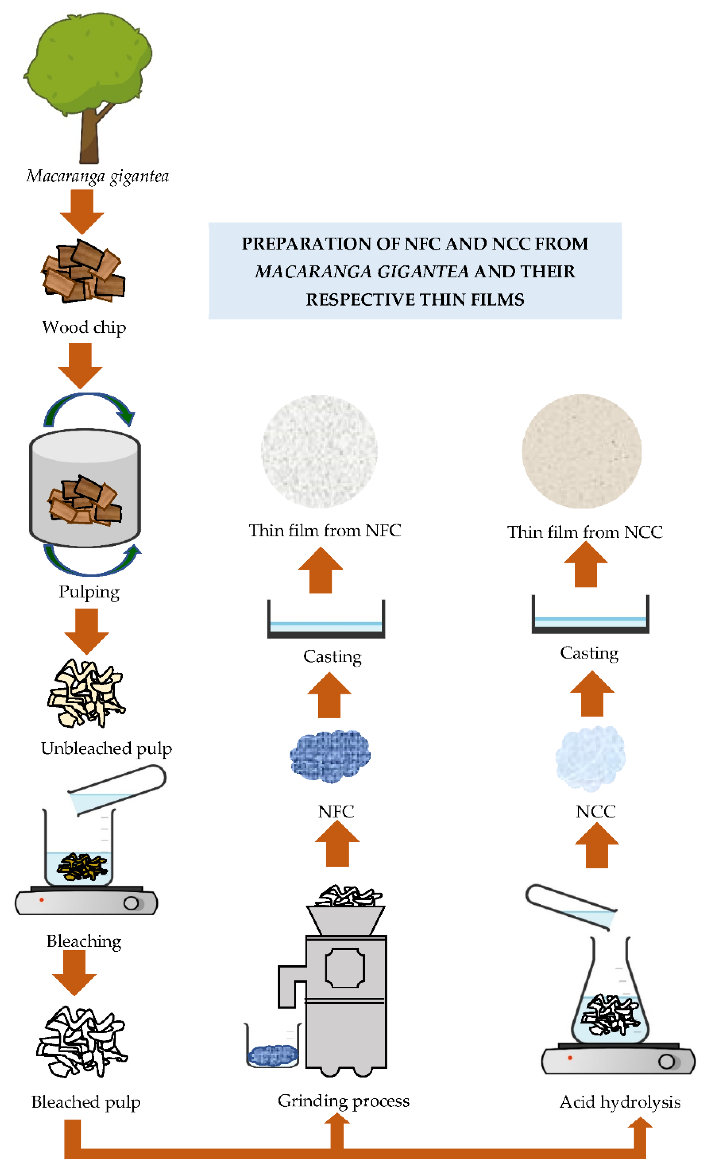 Polymers 14 04591 sch001