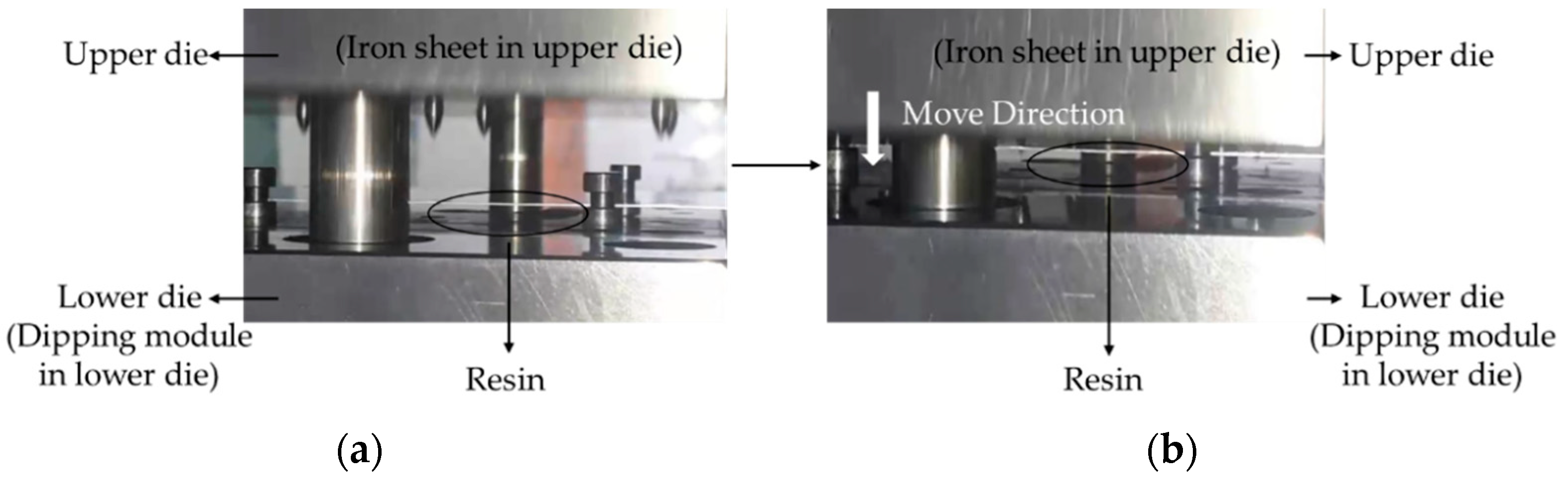 Polymers 14 04596 g003 Polymers 14 04596 g003