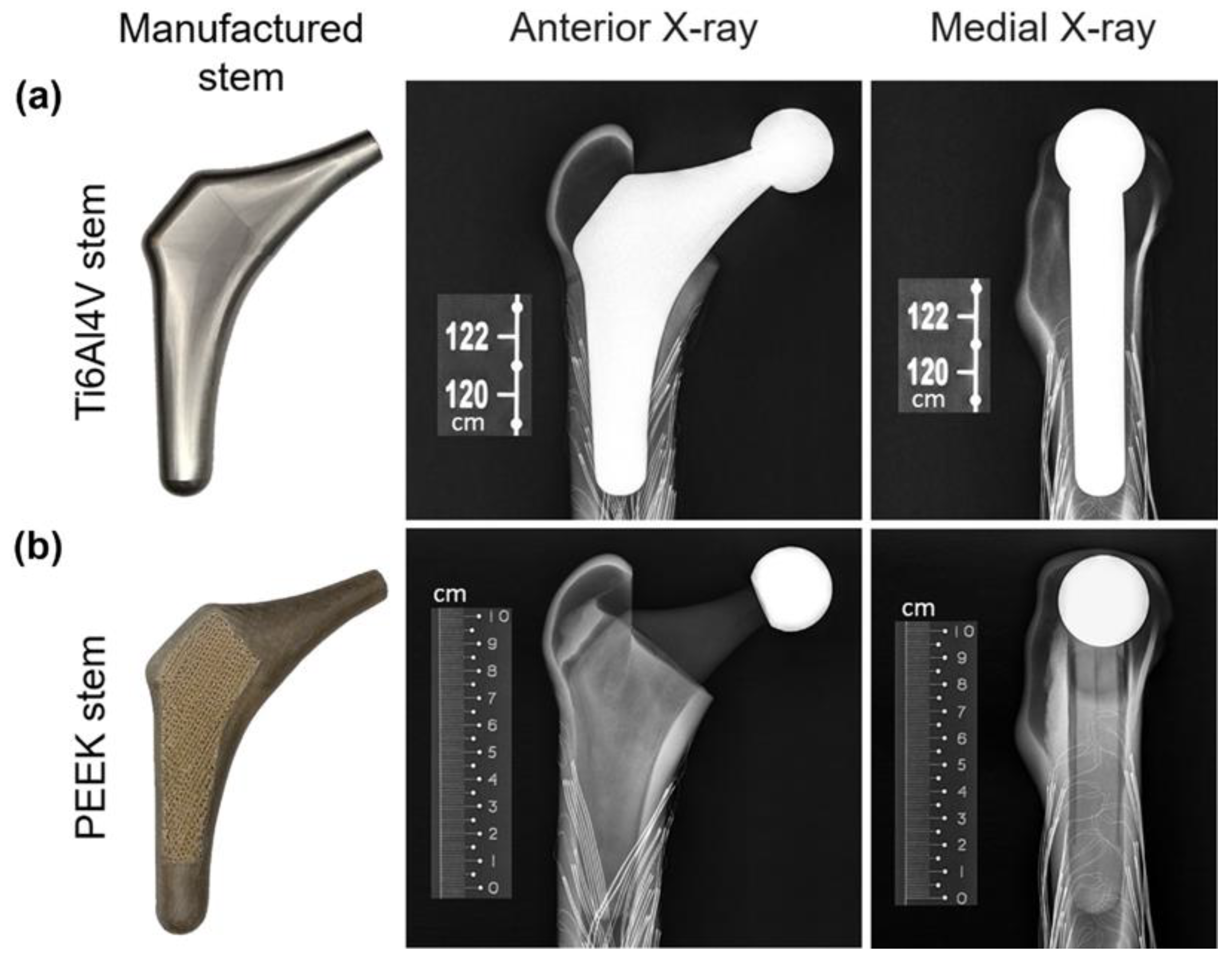 Polymers 14 04600 g004 Polymers 14 04600 g004