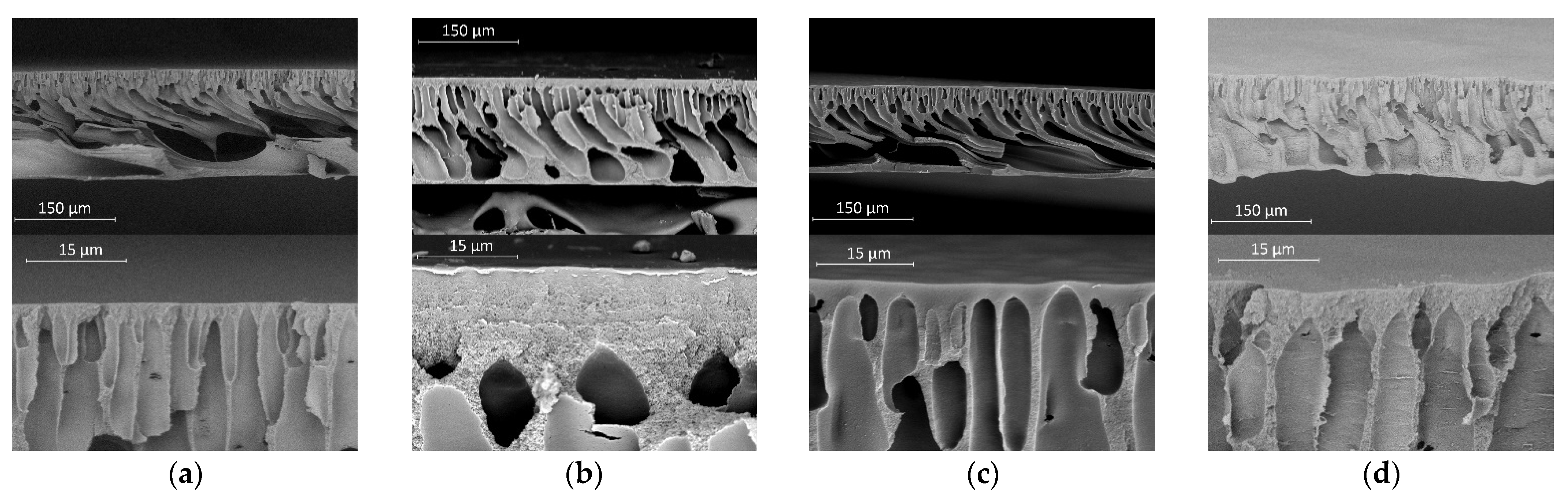Polymers 14 04603 g011