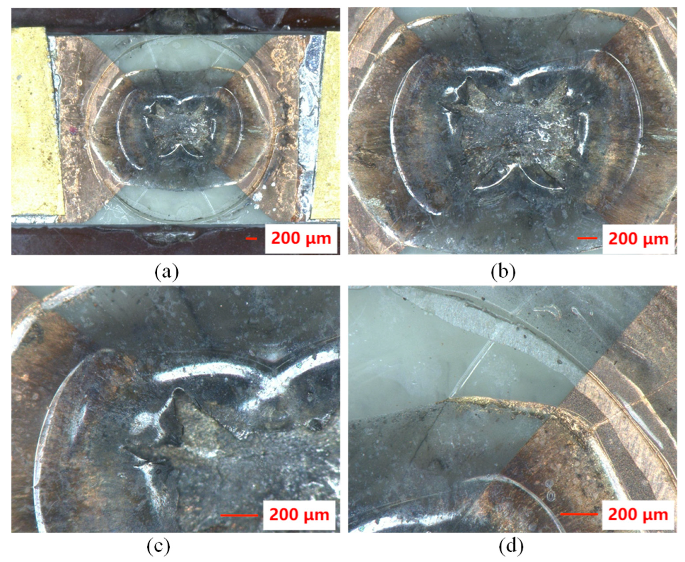 Polymers 14 04604 g006 Polymers 14 04604 g006