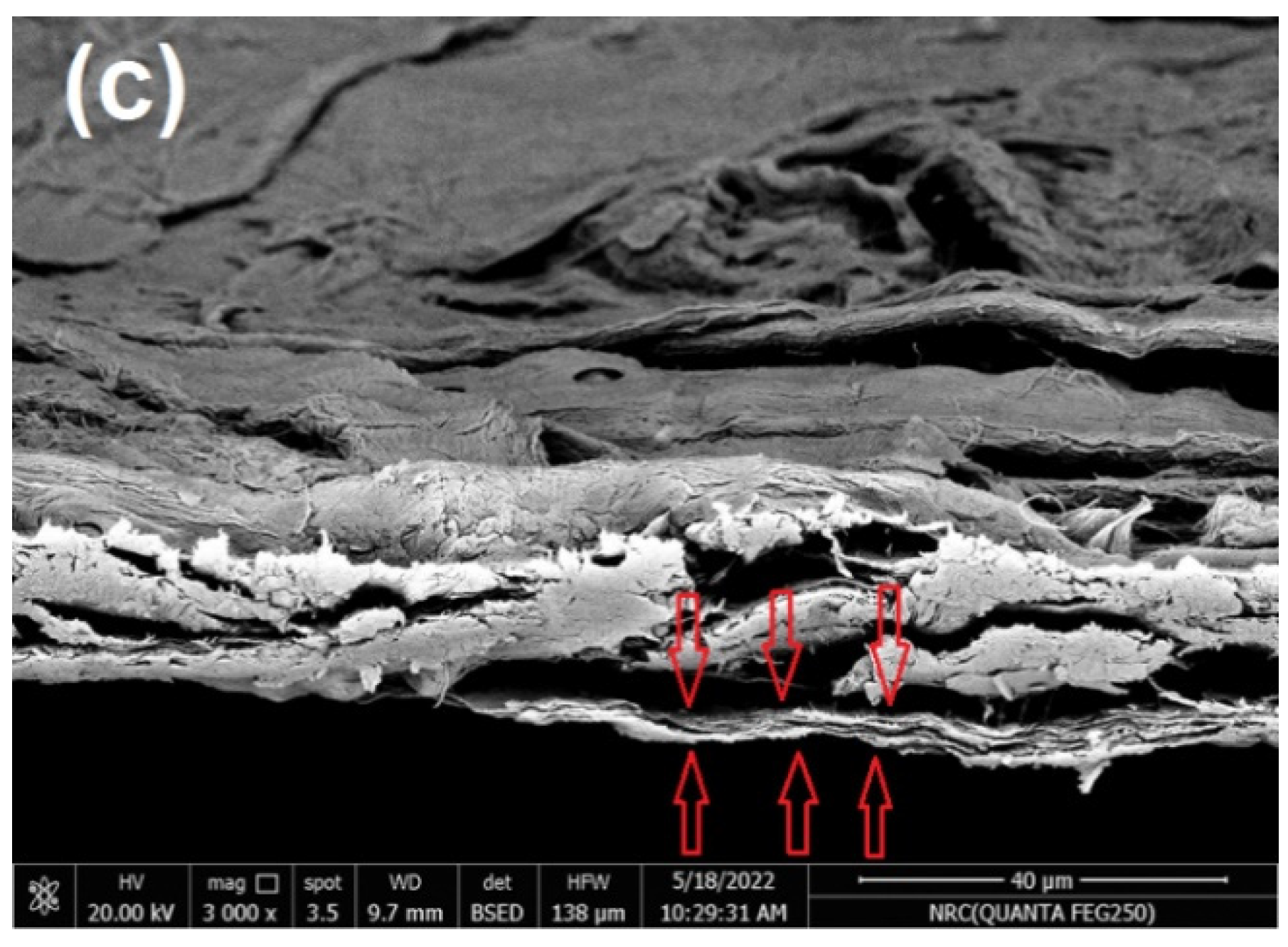 Polymers 14 04605 g007b Polymers 14 04605 g007b