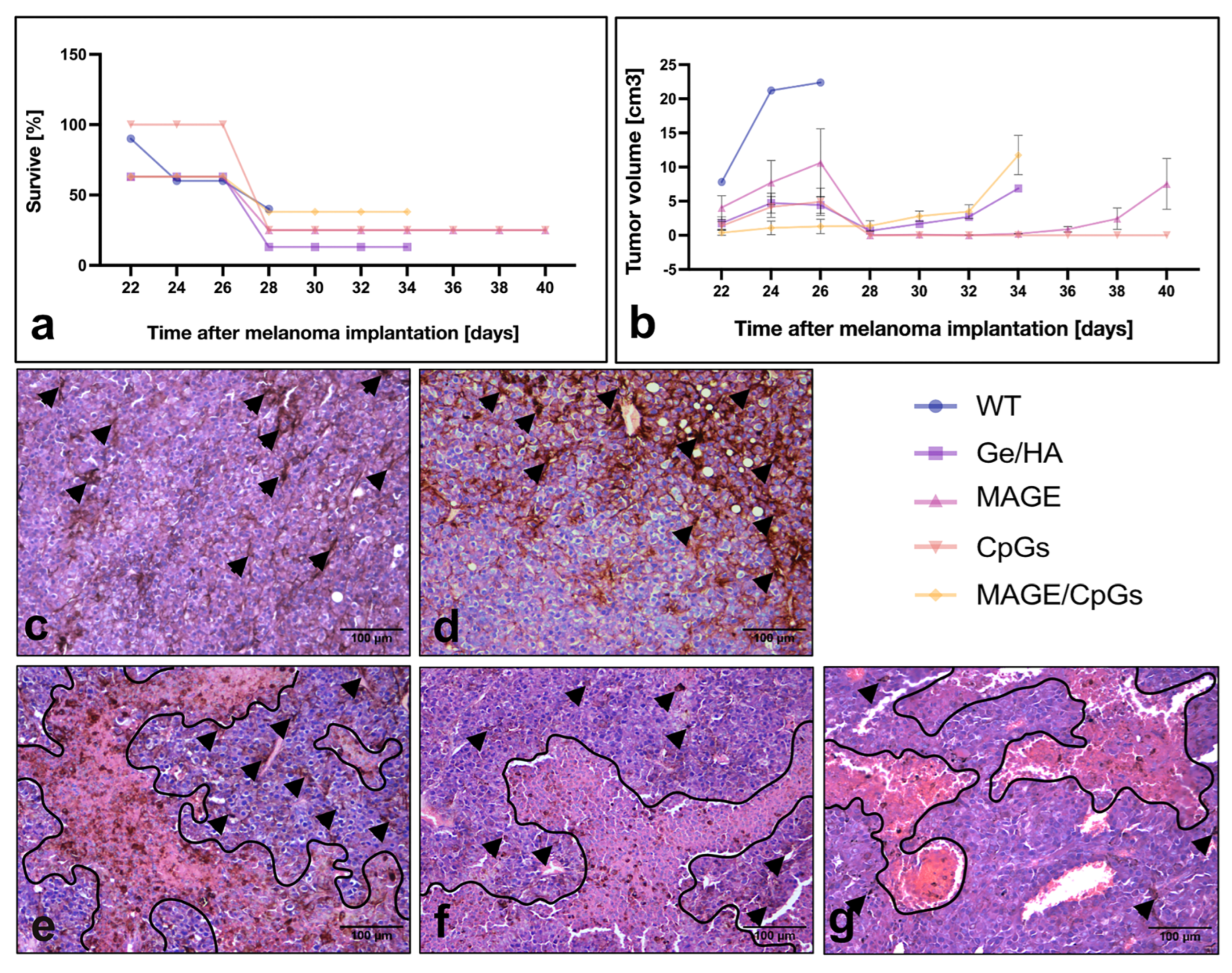 Polymers 14 04608 g006
