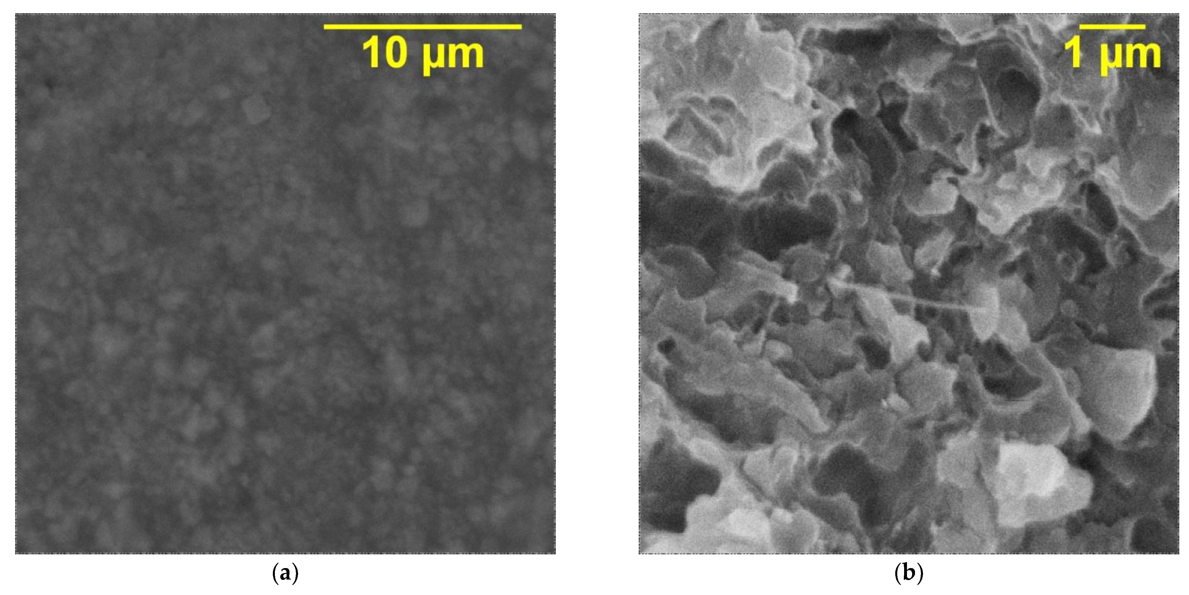 Polymers 14 04609 g006