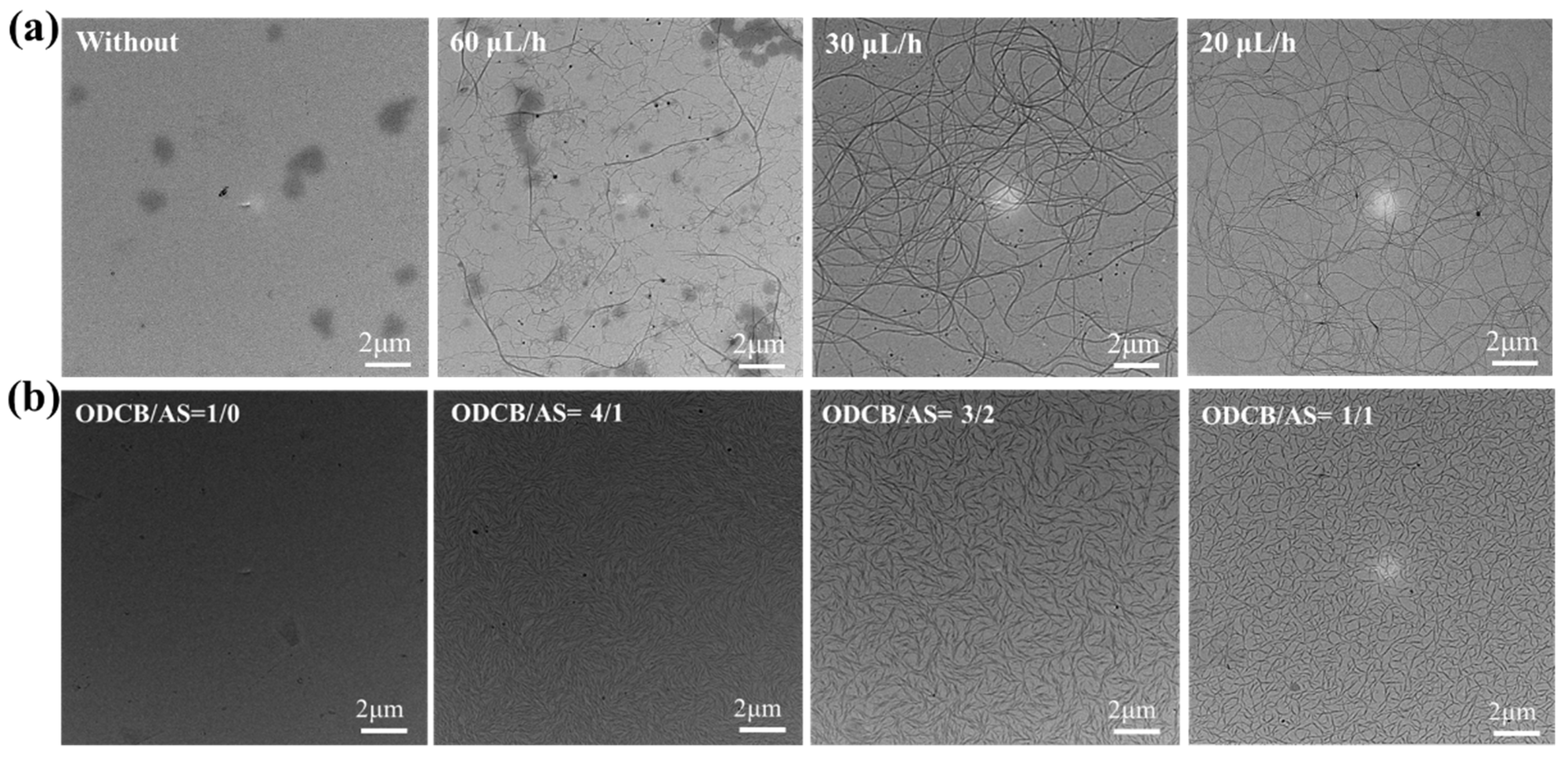 Polymers 14 04612 g011 Polymers 14 04612 g011