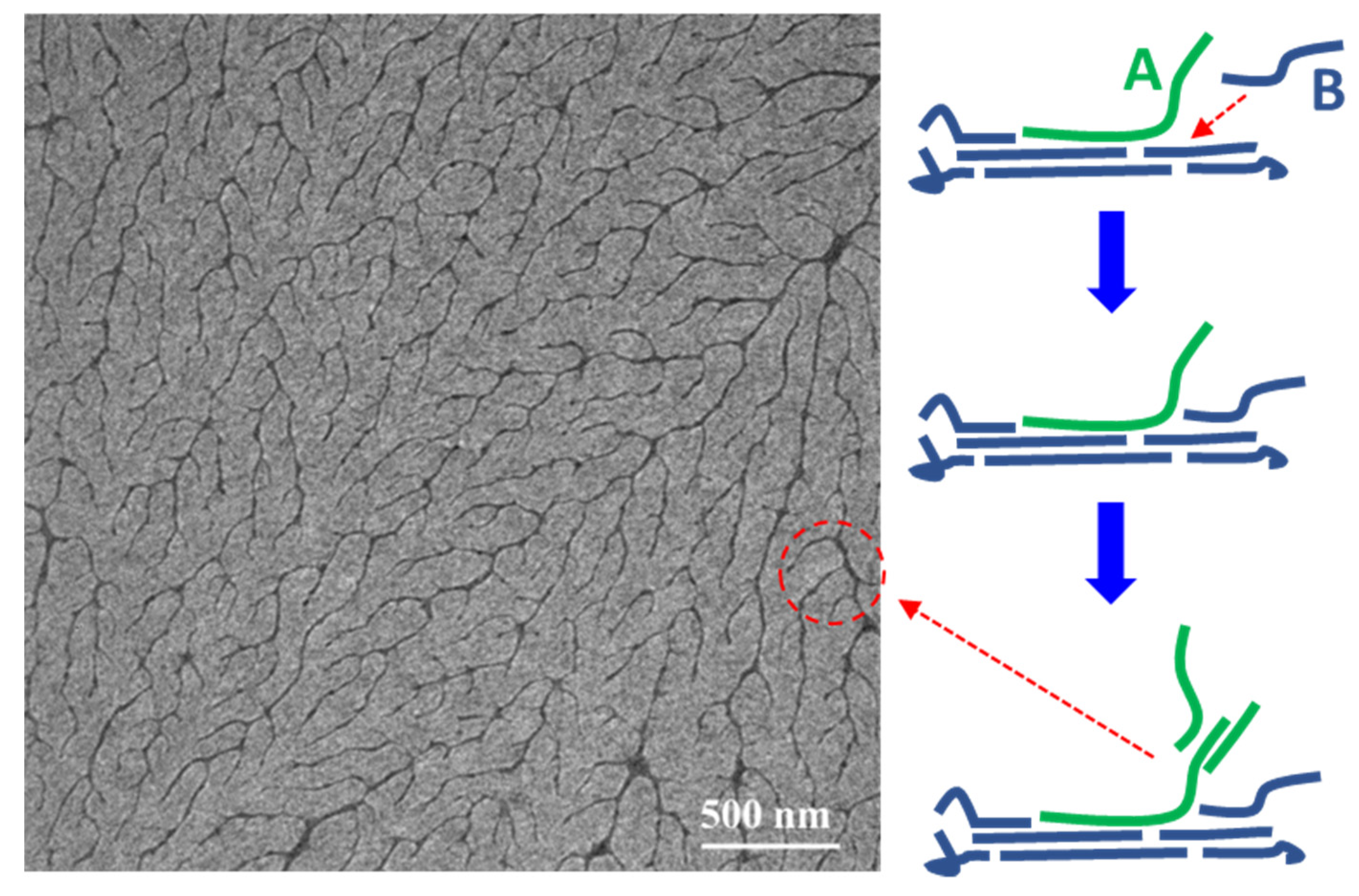 Polymers 14 04612 g013 Polymers 14 04612 g013