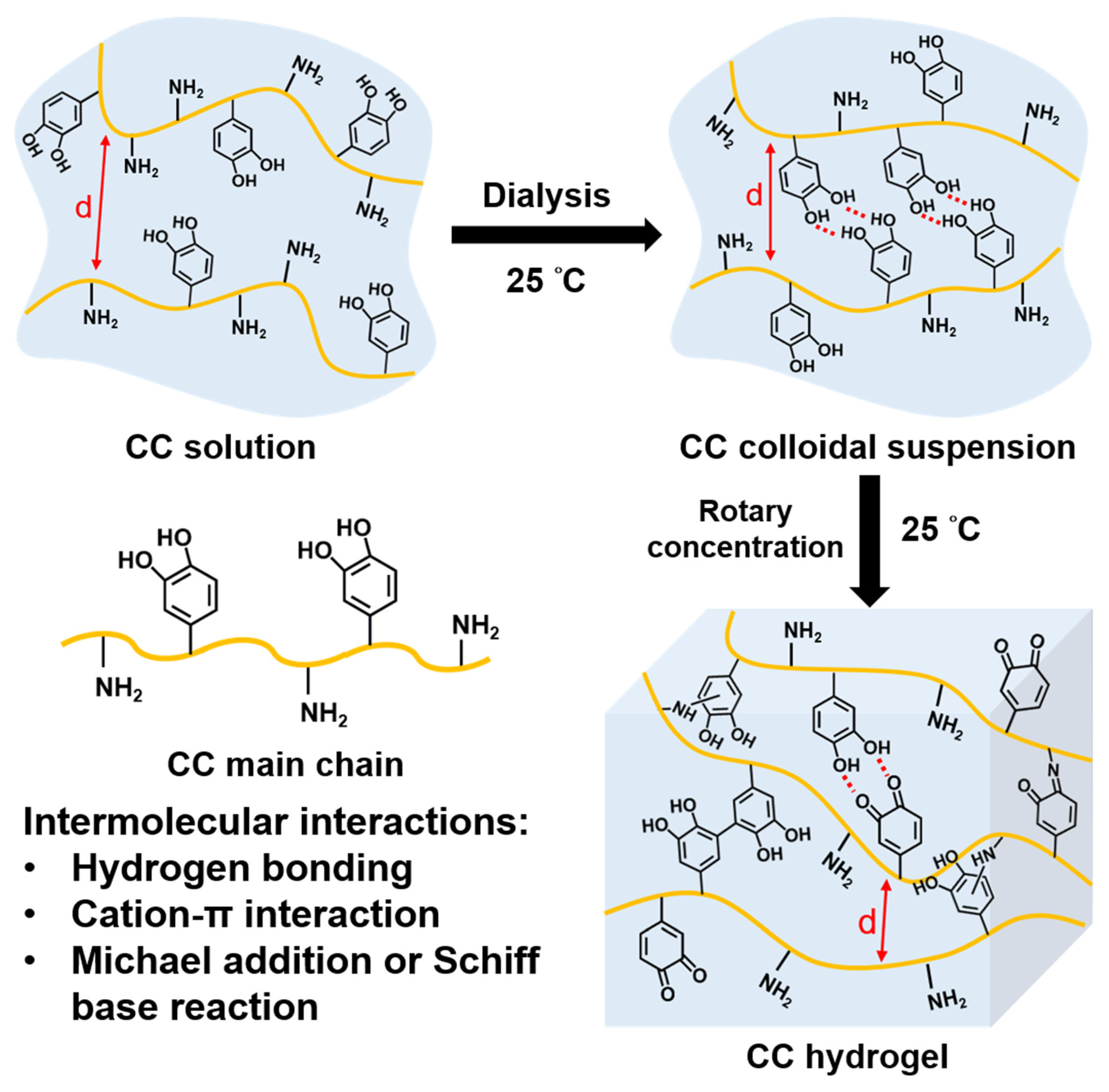Polymers 14 04614 g002