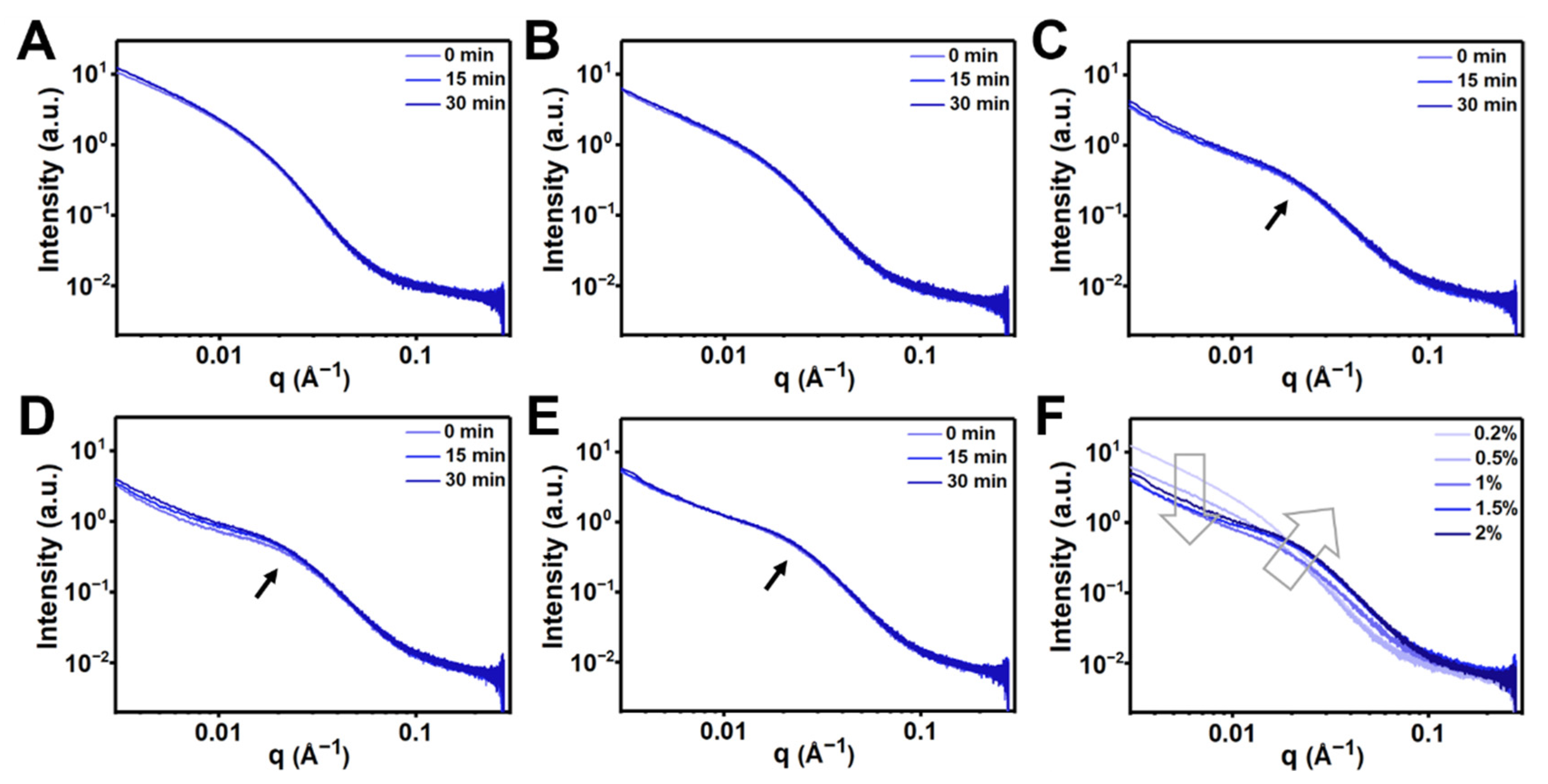 Polymers 14 04614 g004
