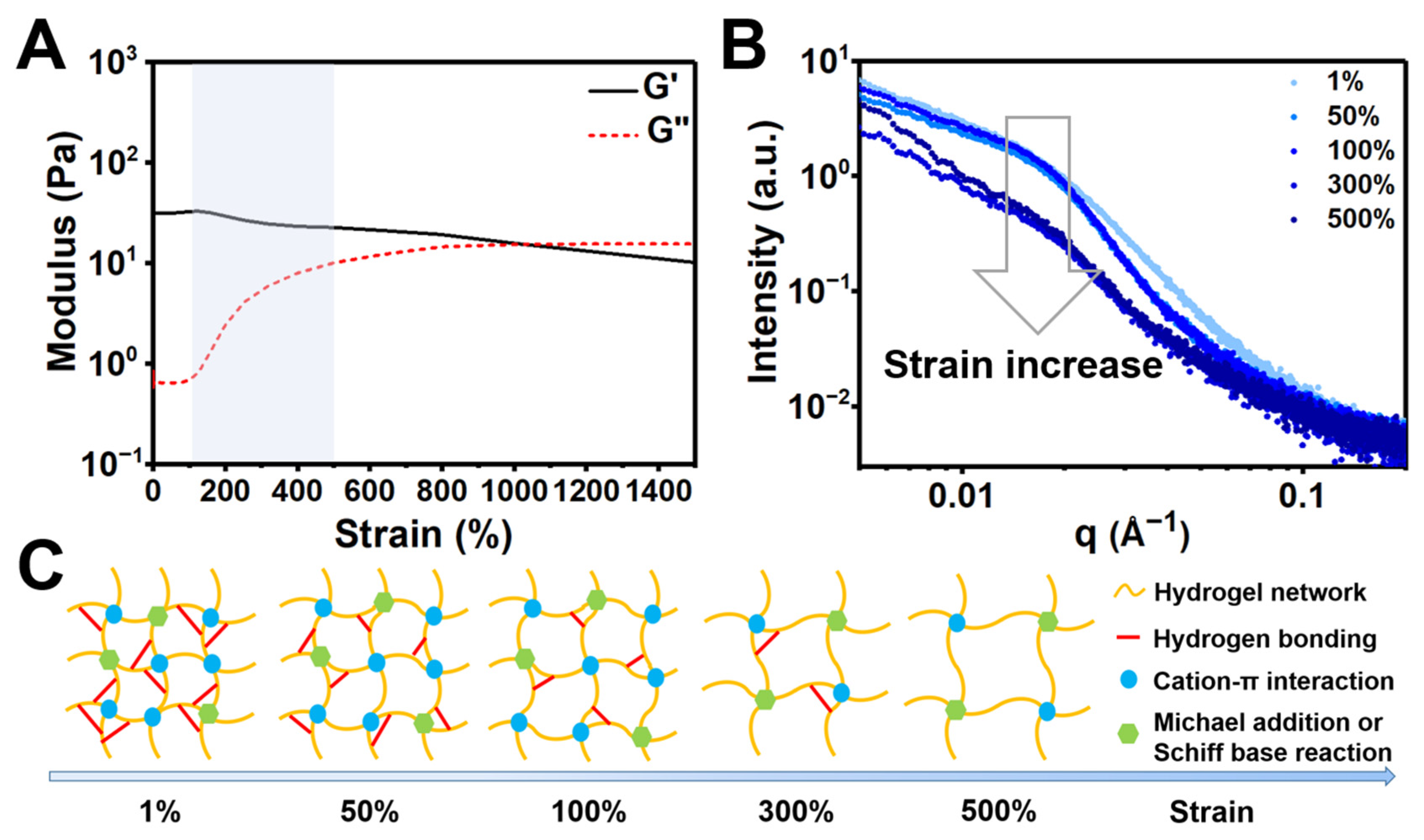 Polymers 14 04614 g005