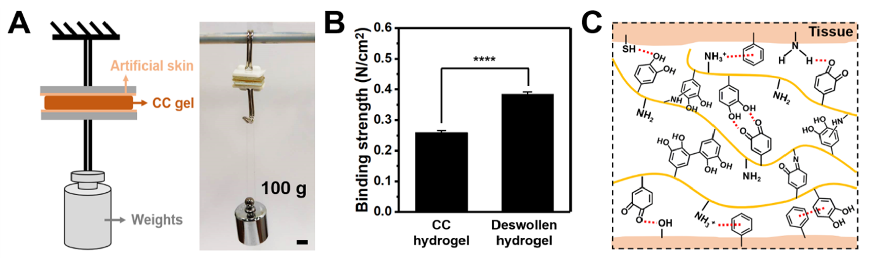 Polymers 14 04614 g008