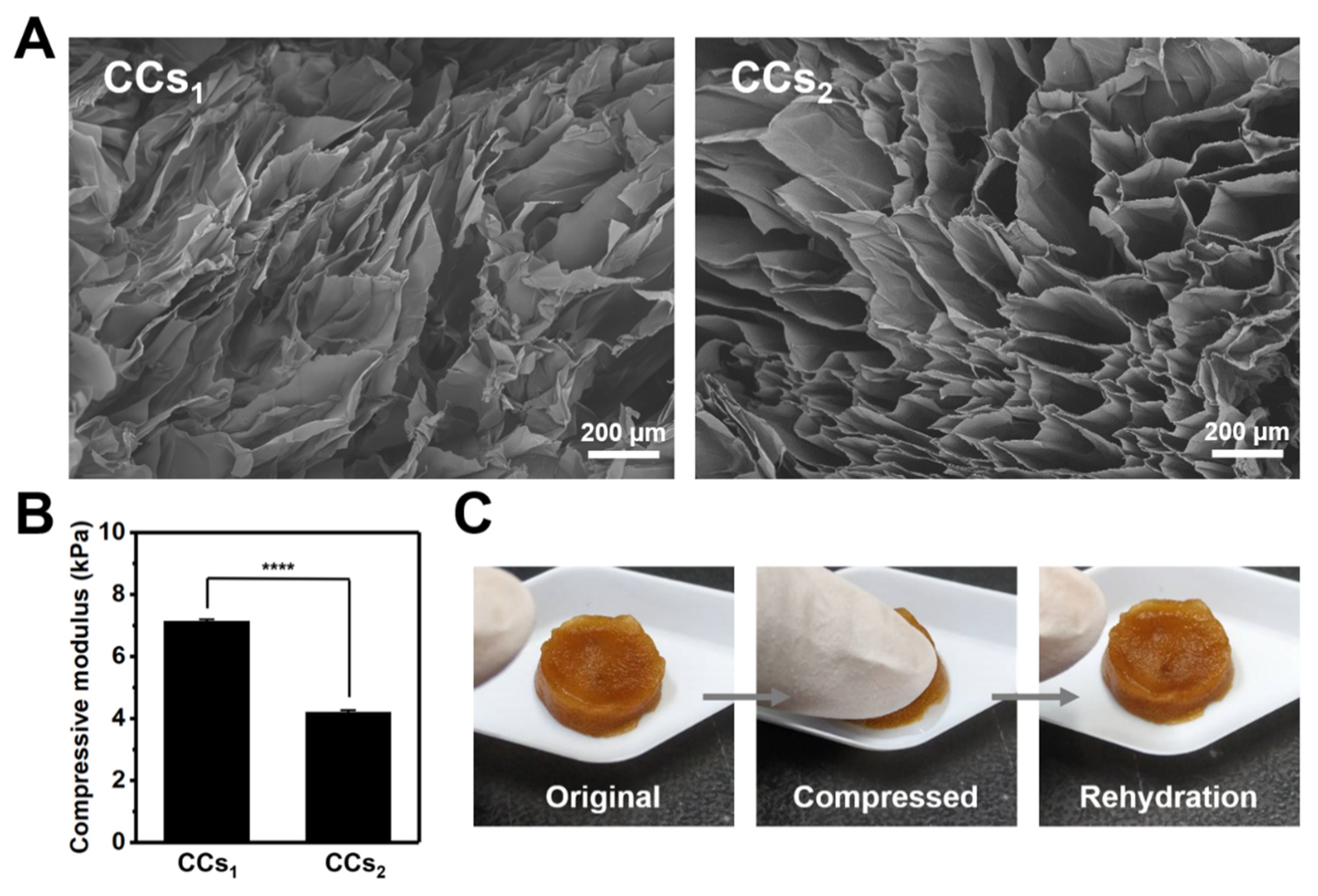 Polymers 14 04614 g009
