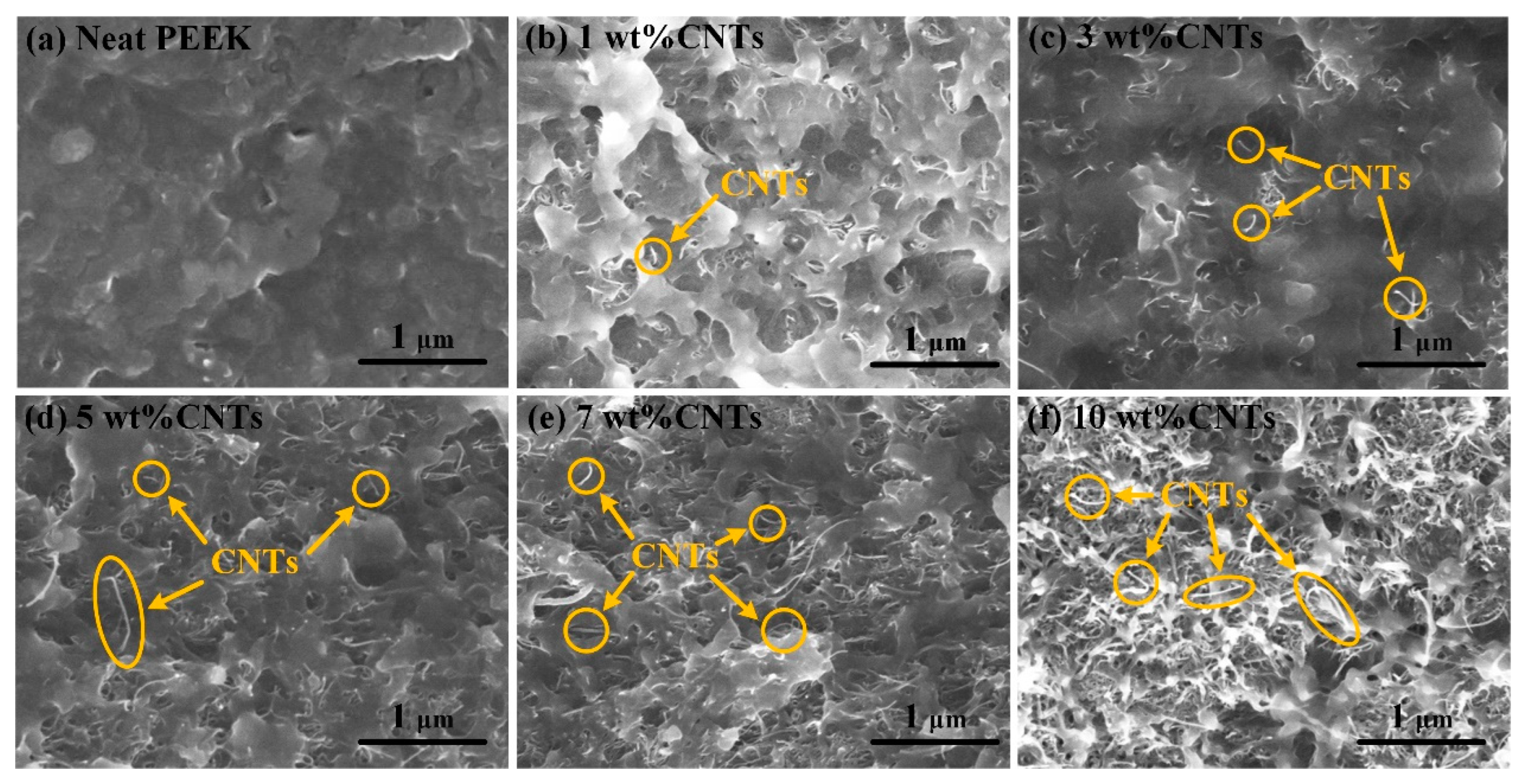 Polymers 14 04623 g003 Polymers 14 04623 g003