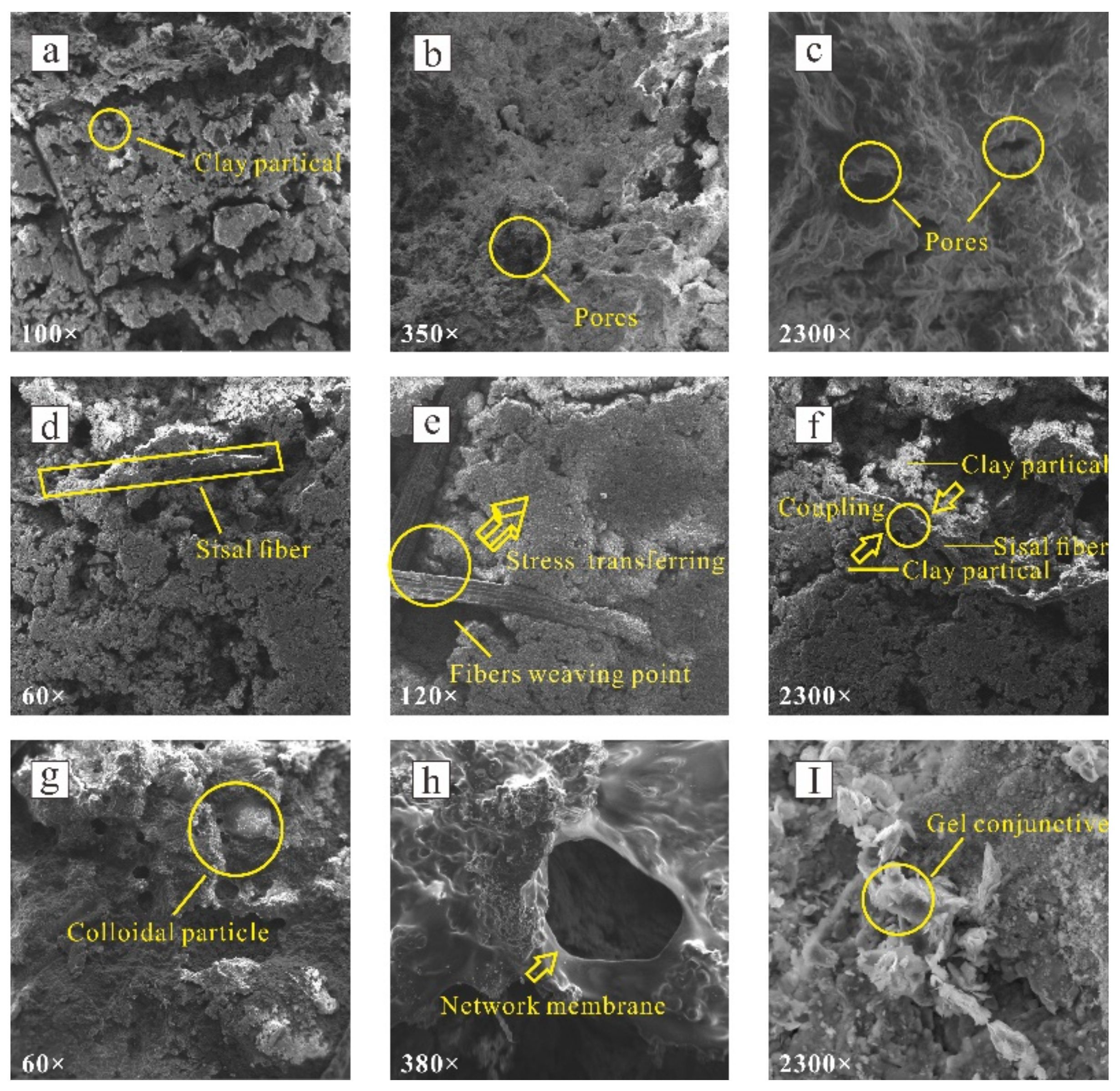 Polymers 14 04626 g011 Polymers 14 04626 g011
