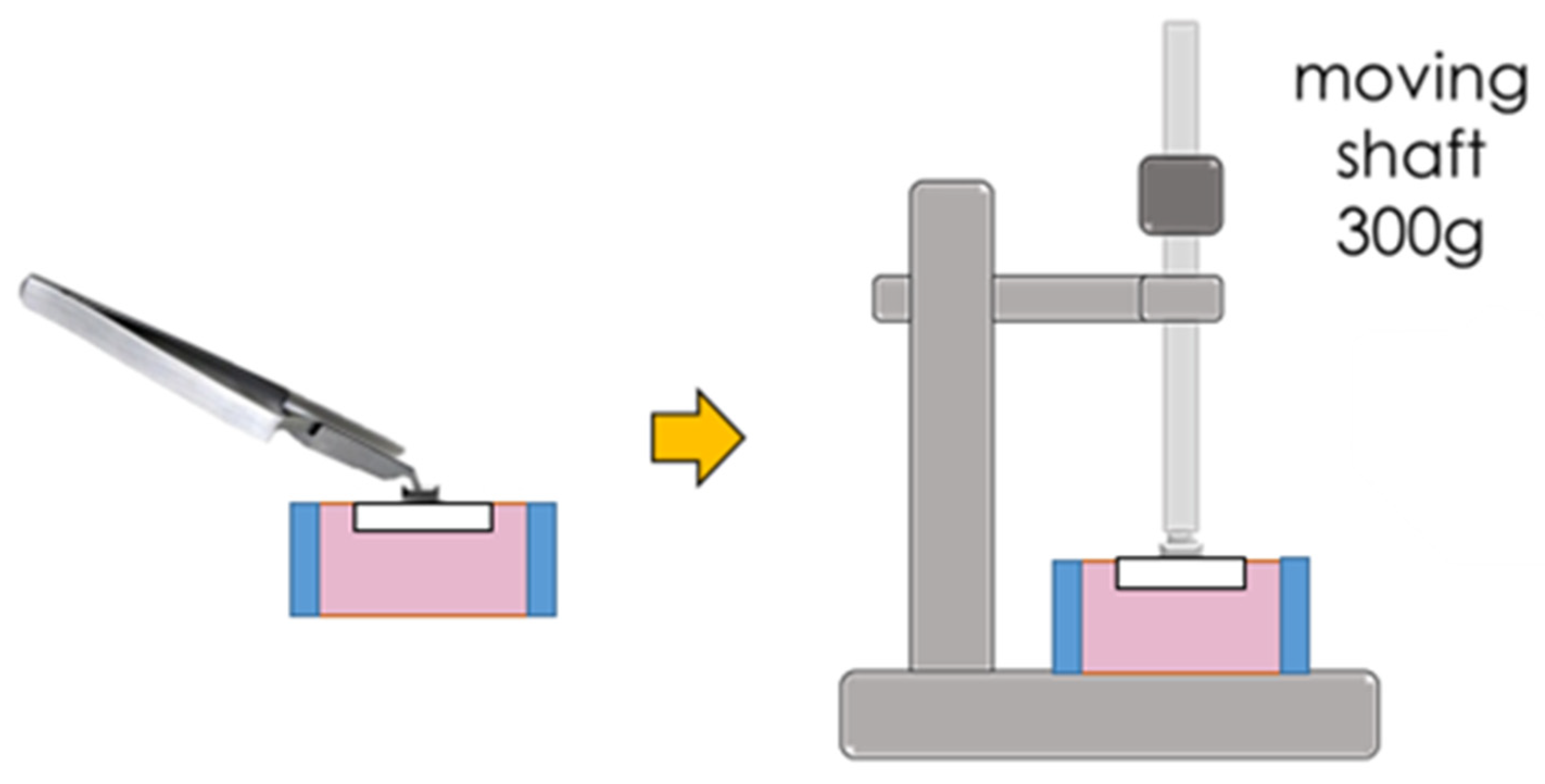 Polymers 14 04627 g003