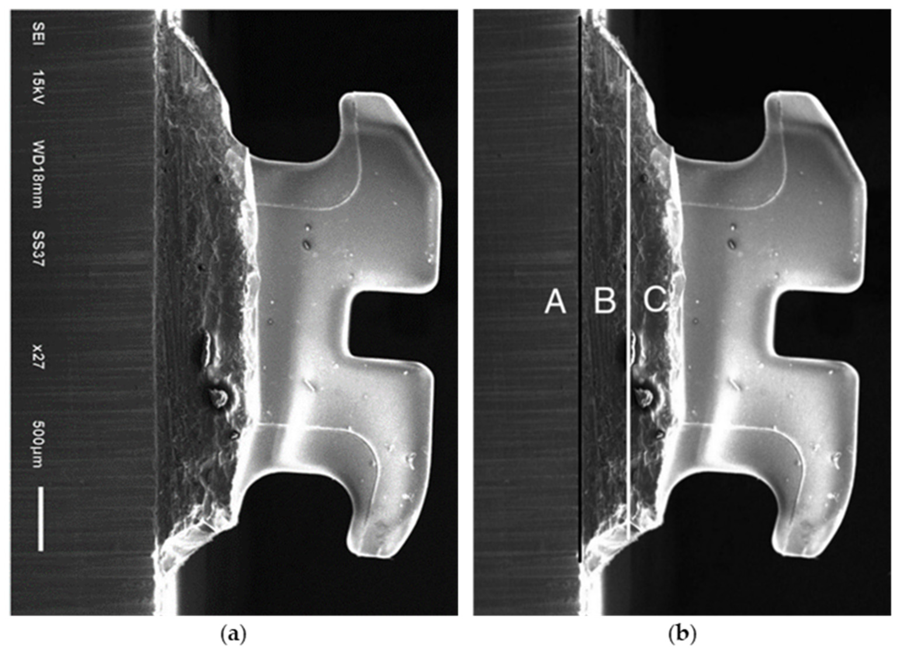 Polymers 14 04627 g004