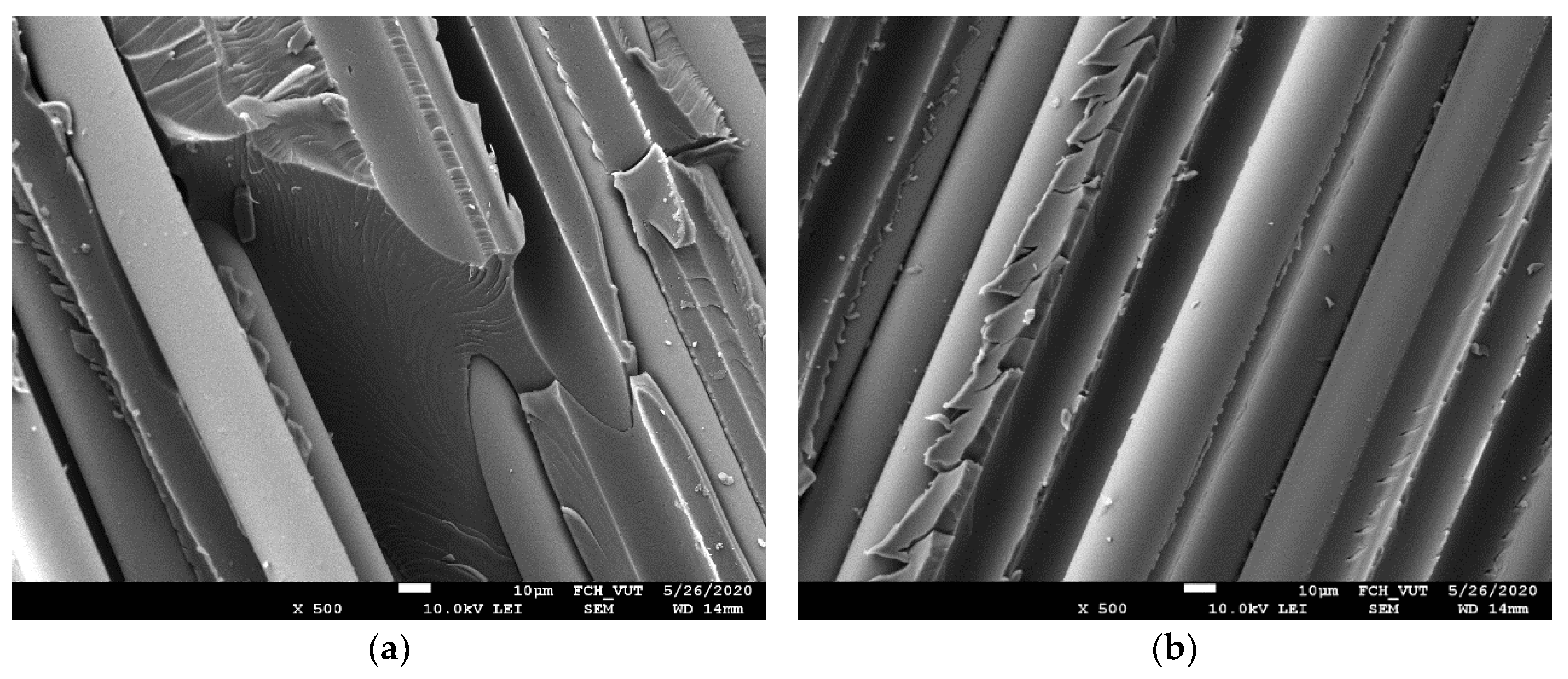 Polymers 14 04633 g002 Polymers 14 04633 g002