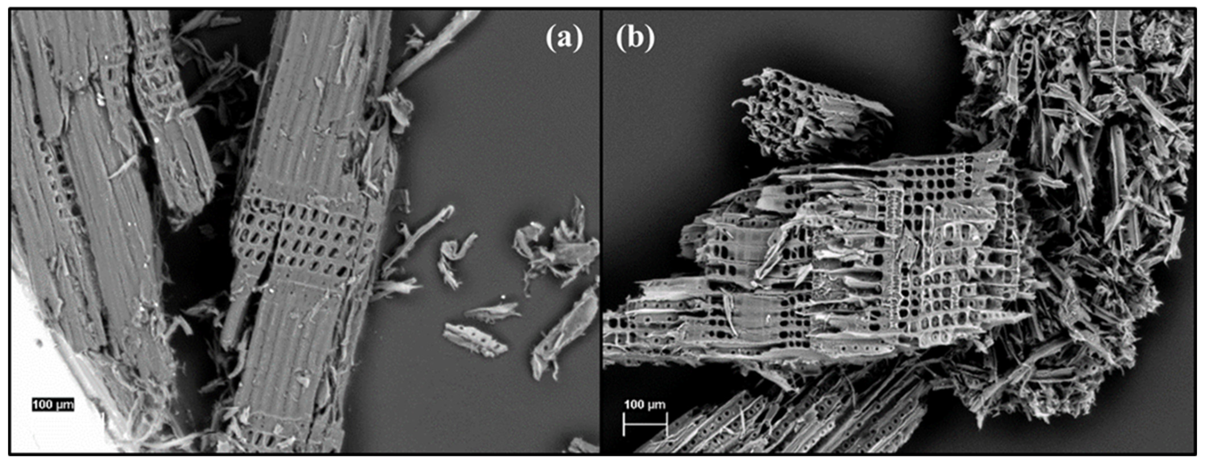 Polymers 14 04637 g003 Polymers 14 04637 g003