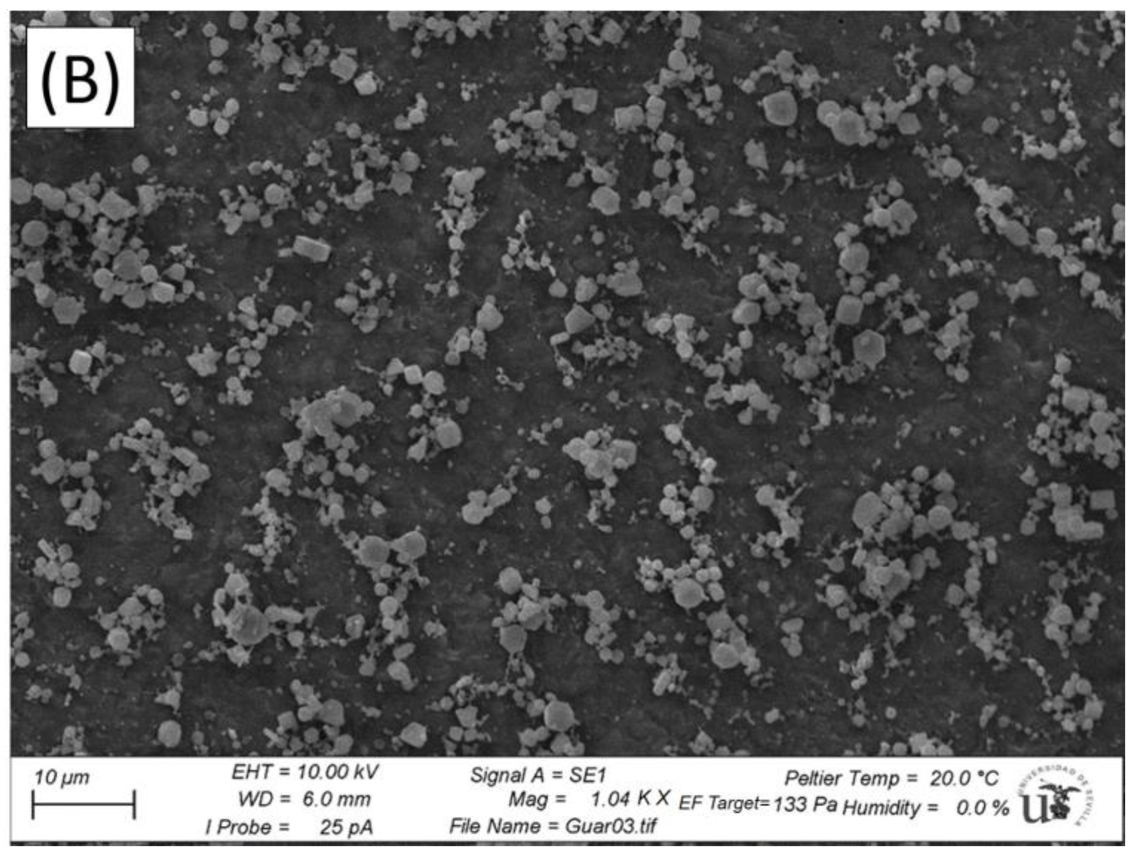 Polymers 14 04640 g006b Polymers 14 04640 g006b