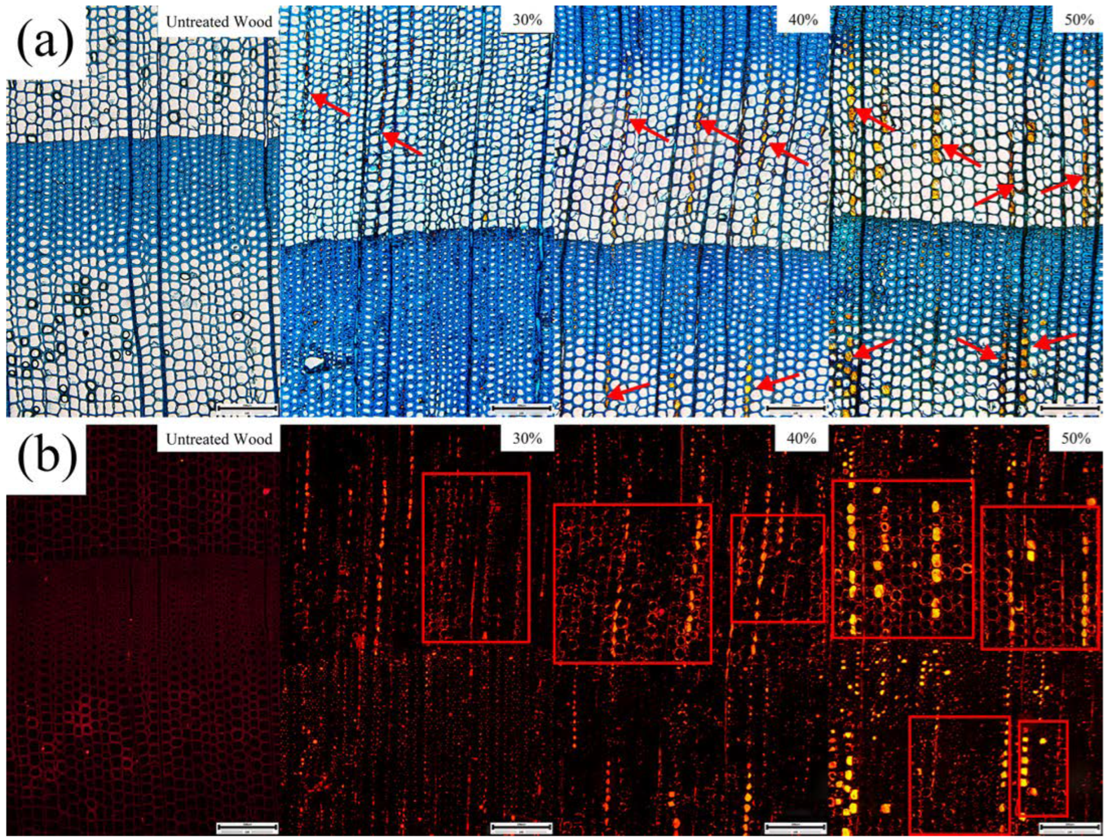 Polymers 14 04641 g003