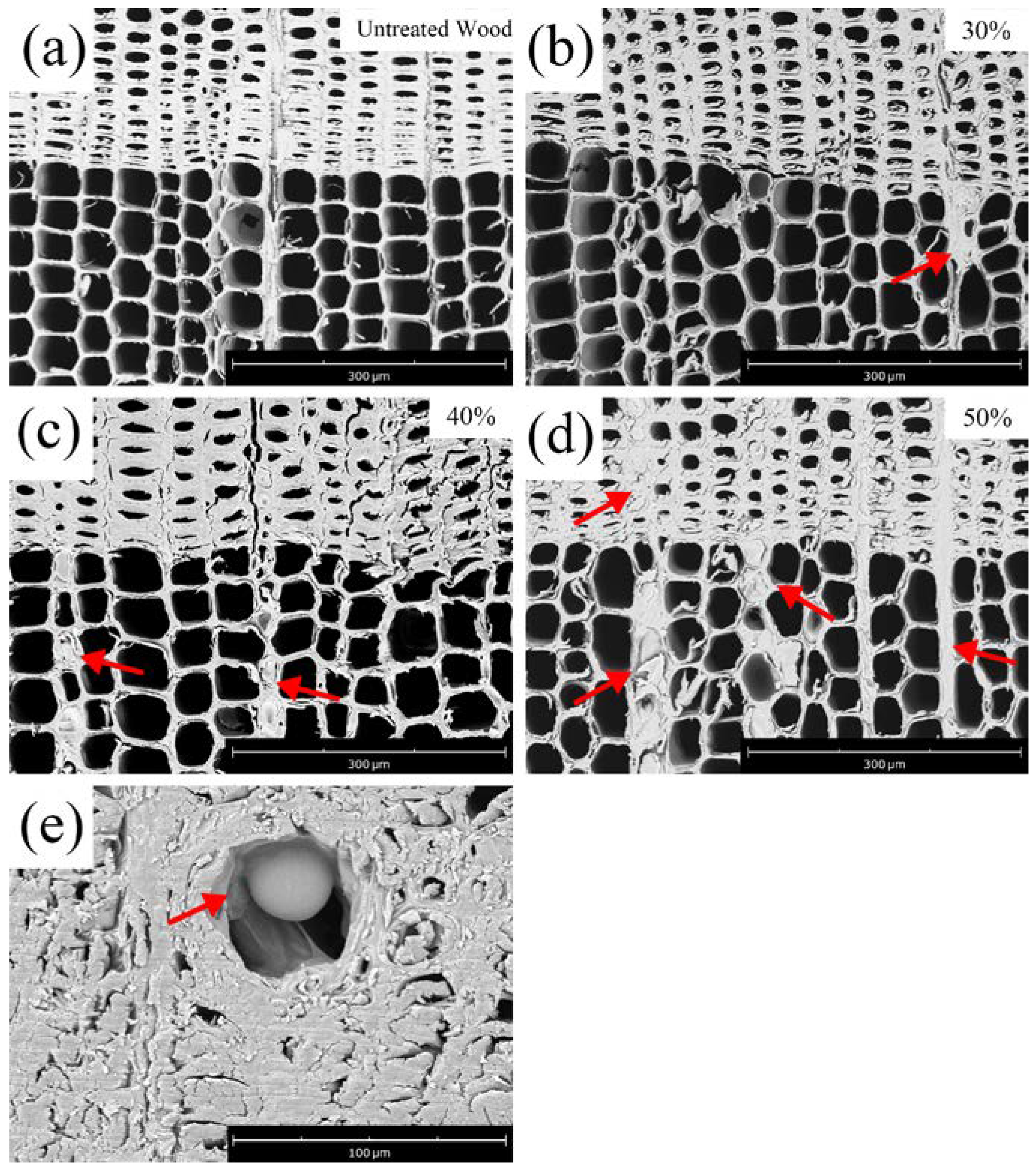 Polymers 14 04641 g004