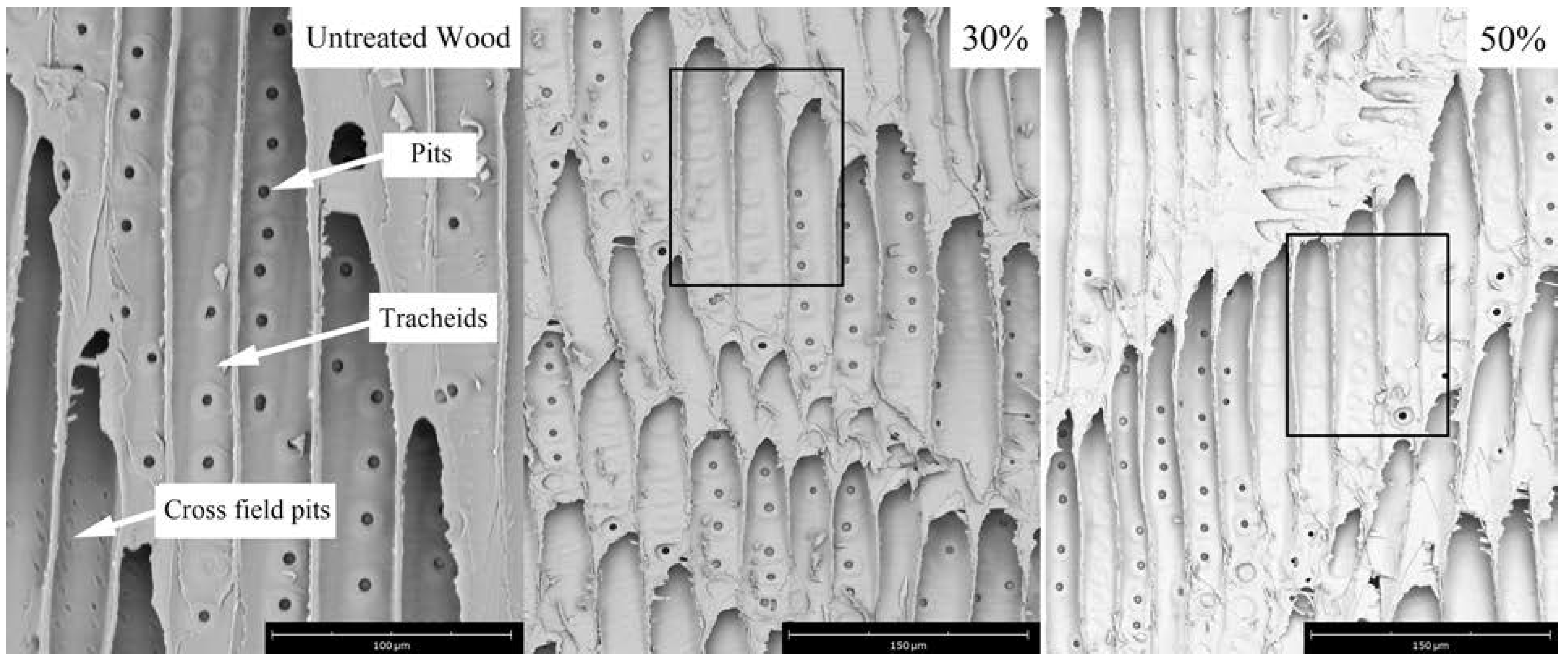 Polymers 14 04641 g006