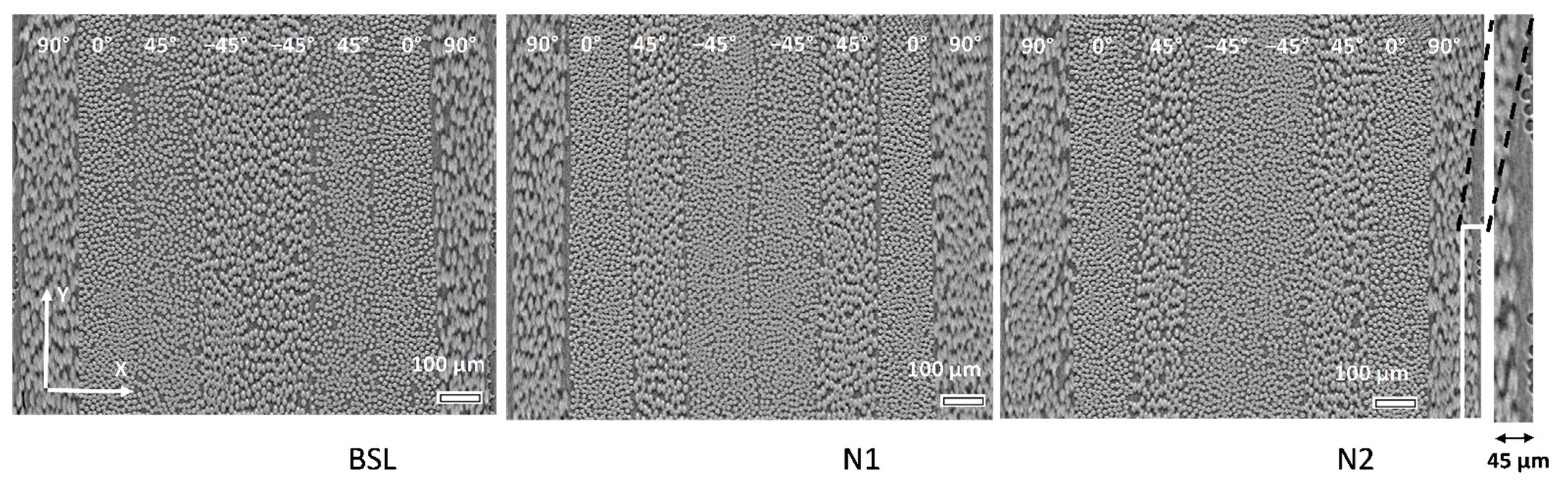 Polymers 14 04644 g002 Polymers 14 04644 g002