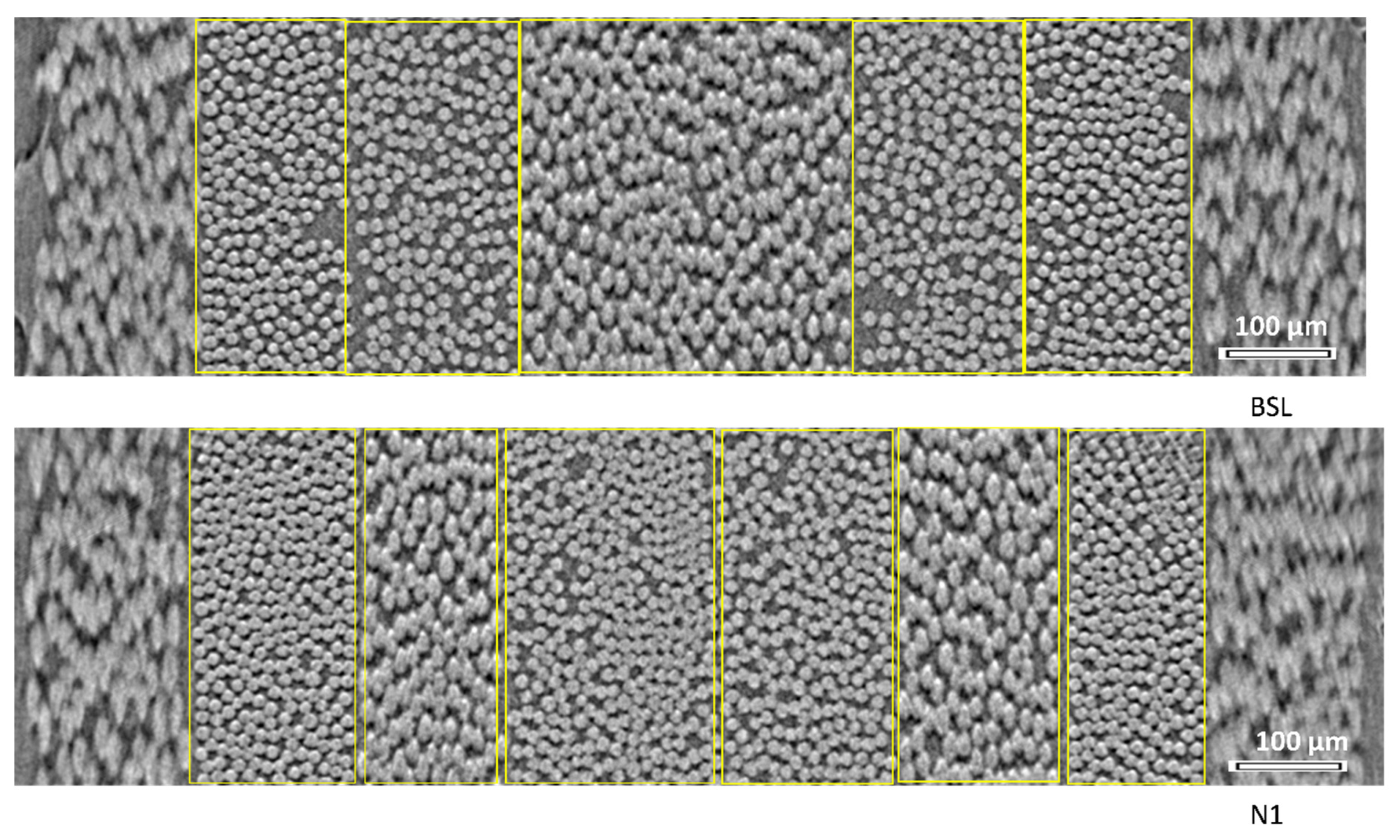 Polymers 14 04644 g003 Polymers 14 04644 g003