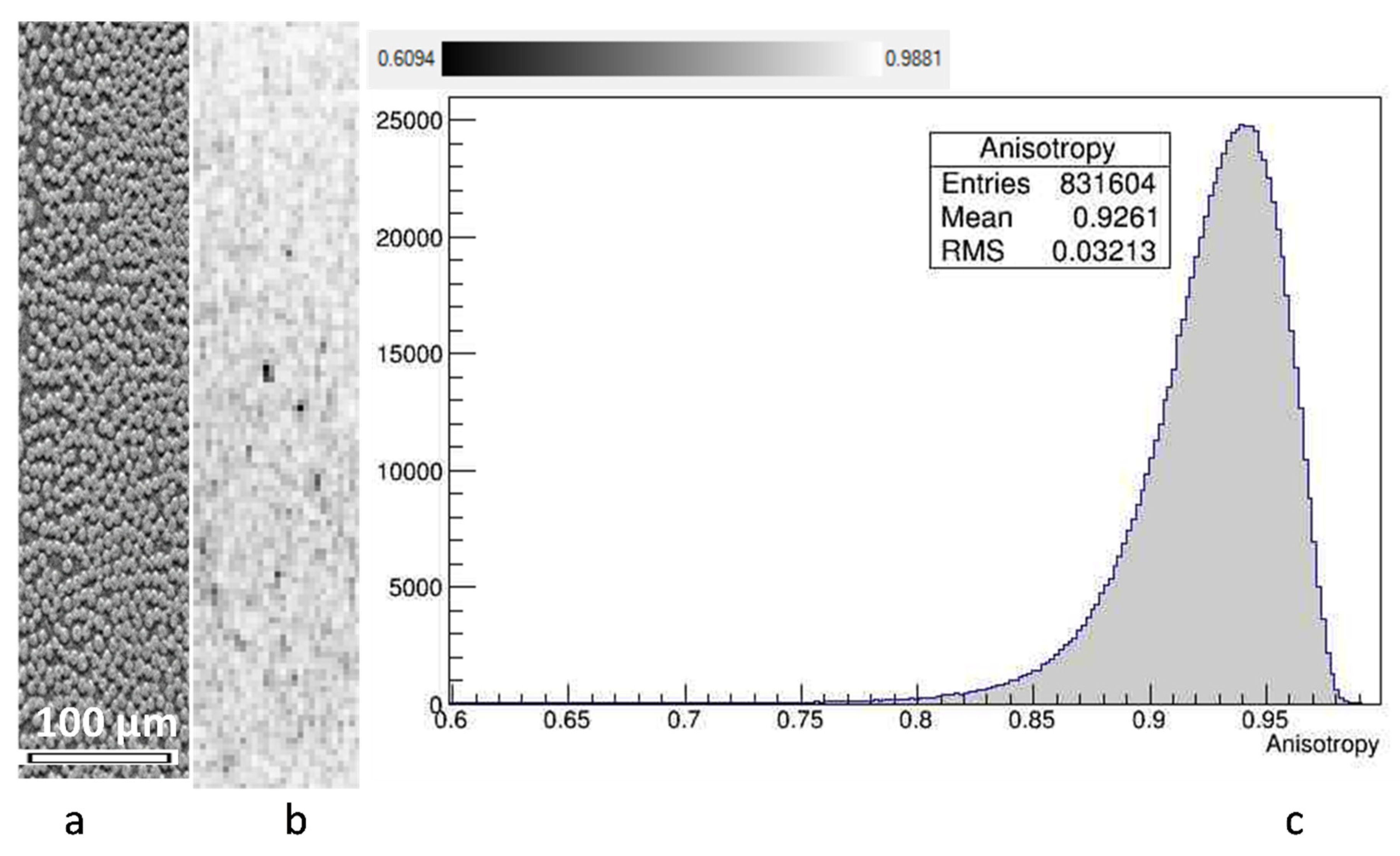 Polymers 14 04644 g005 Polymers 14 04644 g005