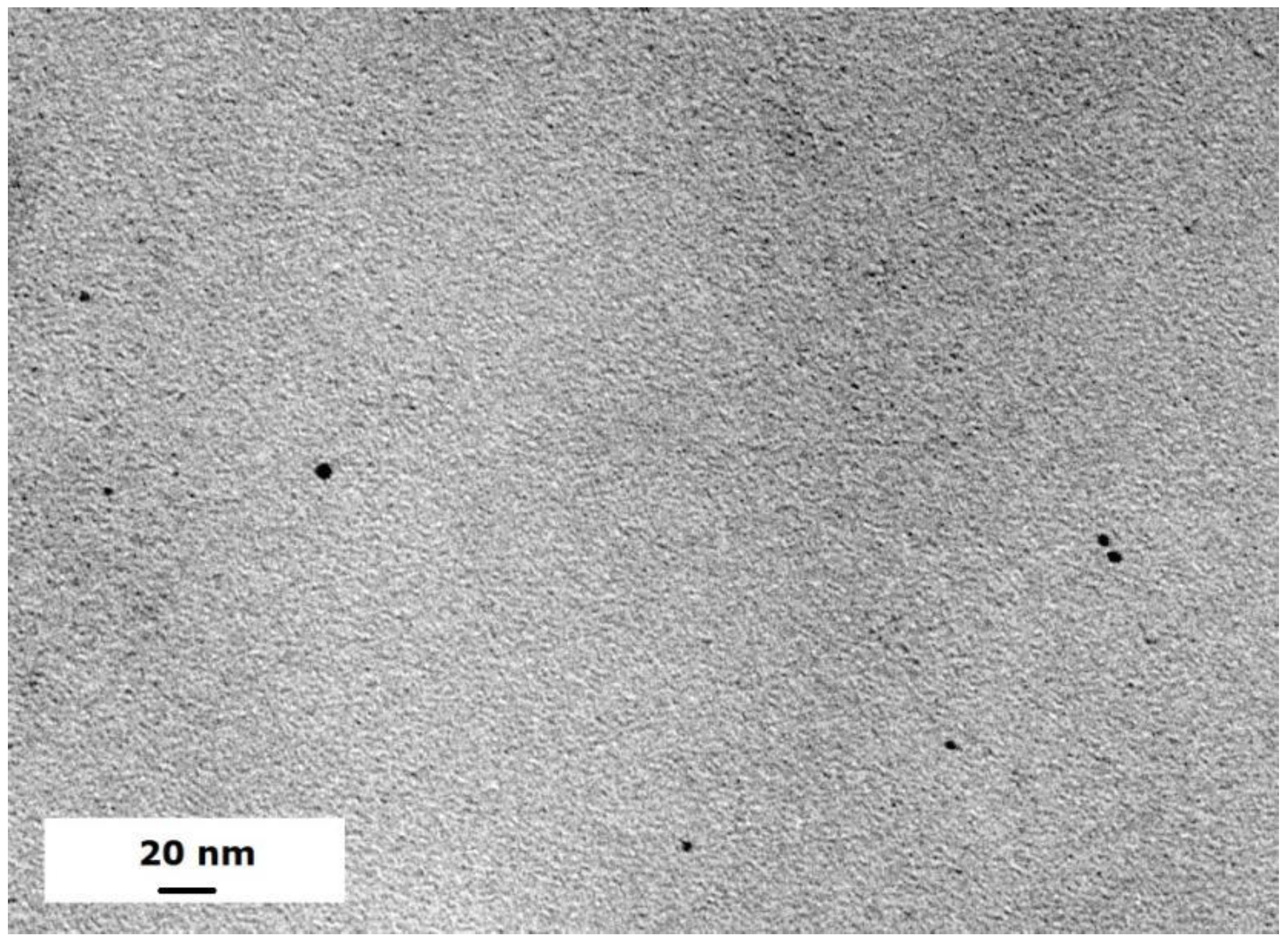 Polymers 14 04647 g001