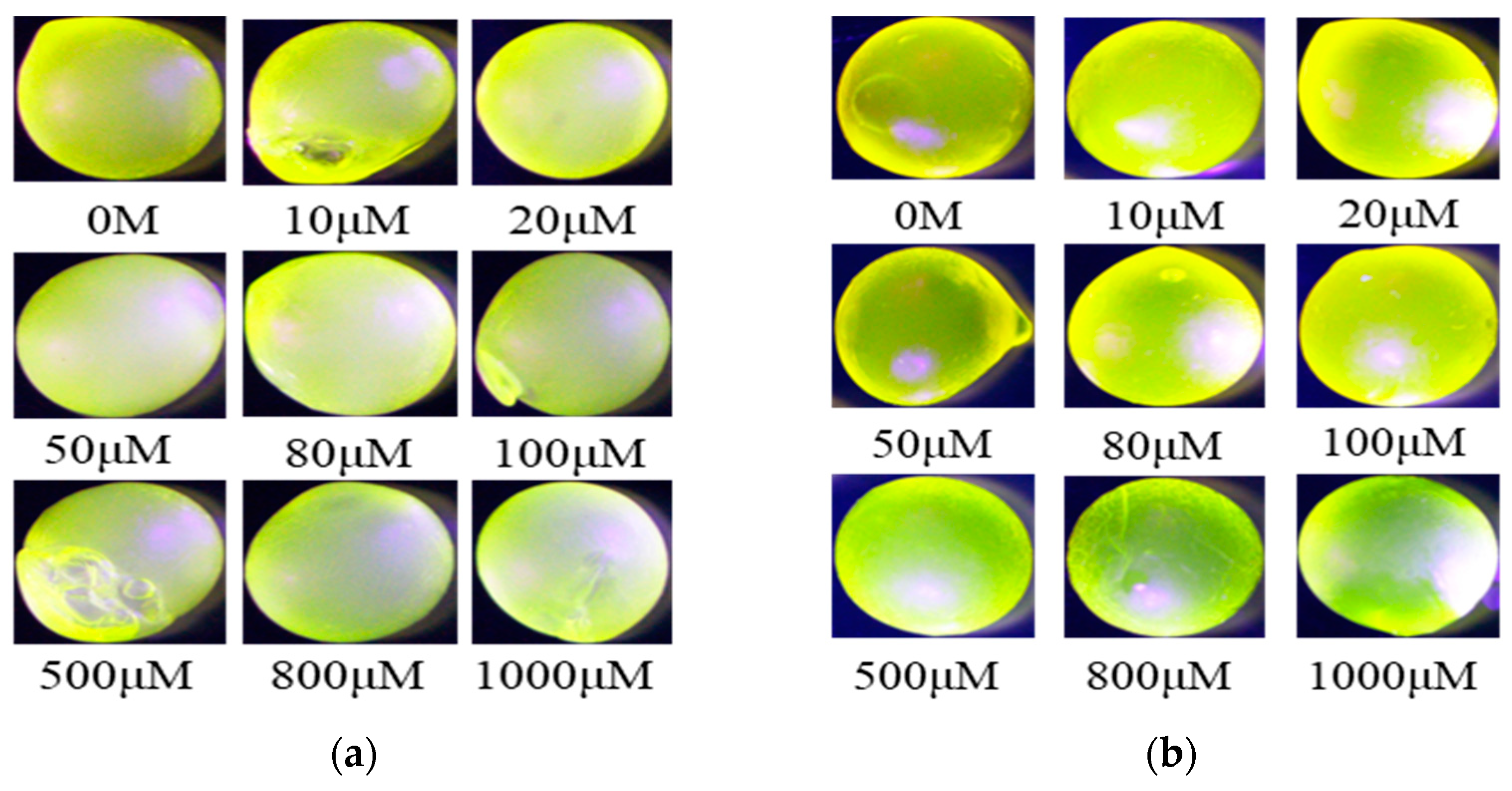 Polymers 14 04649 g004