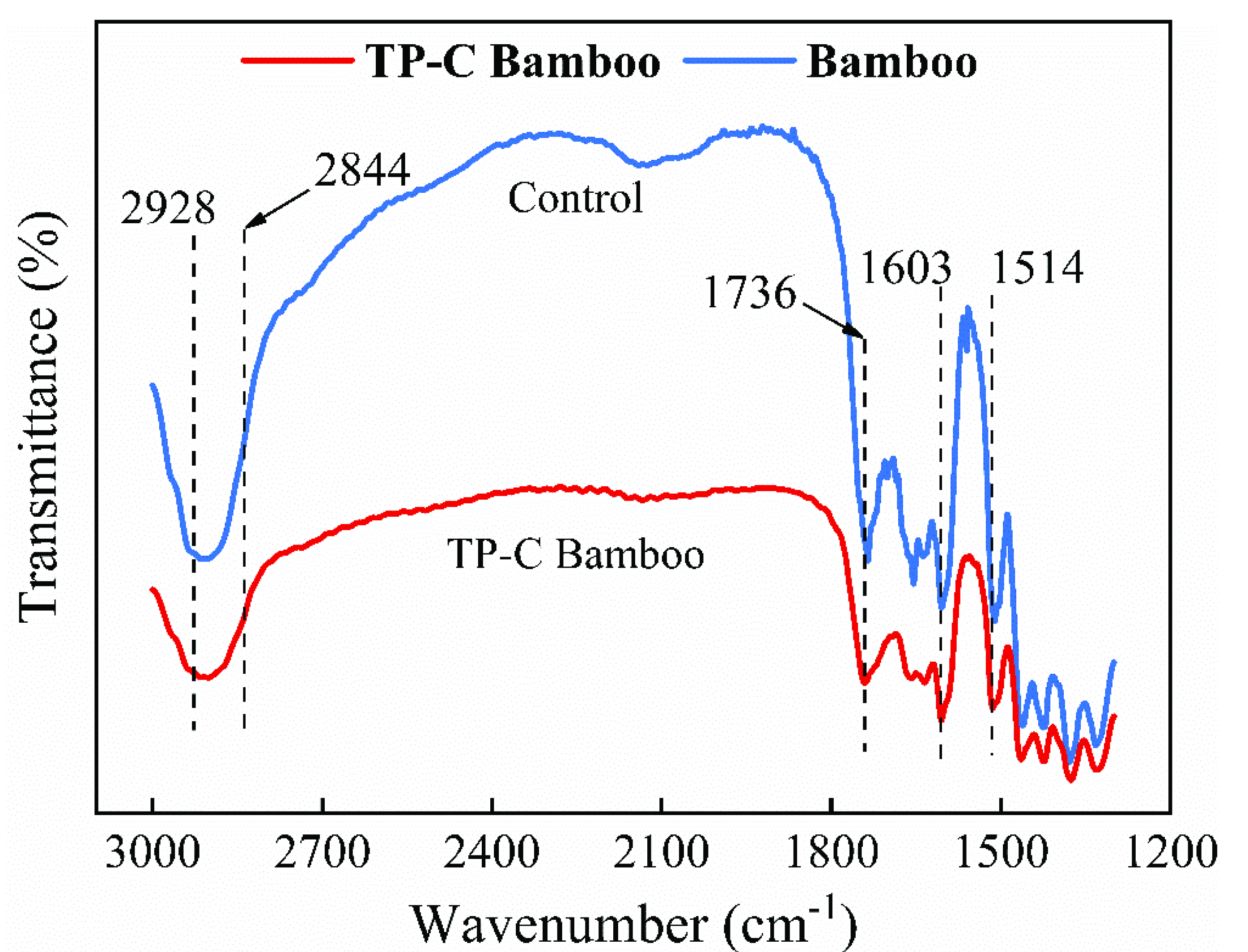 Polymers 14 04652 g006 Polymers 14 04652 g006