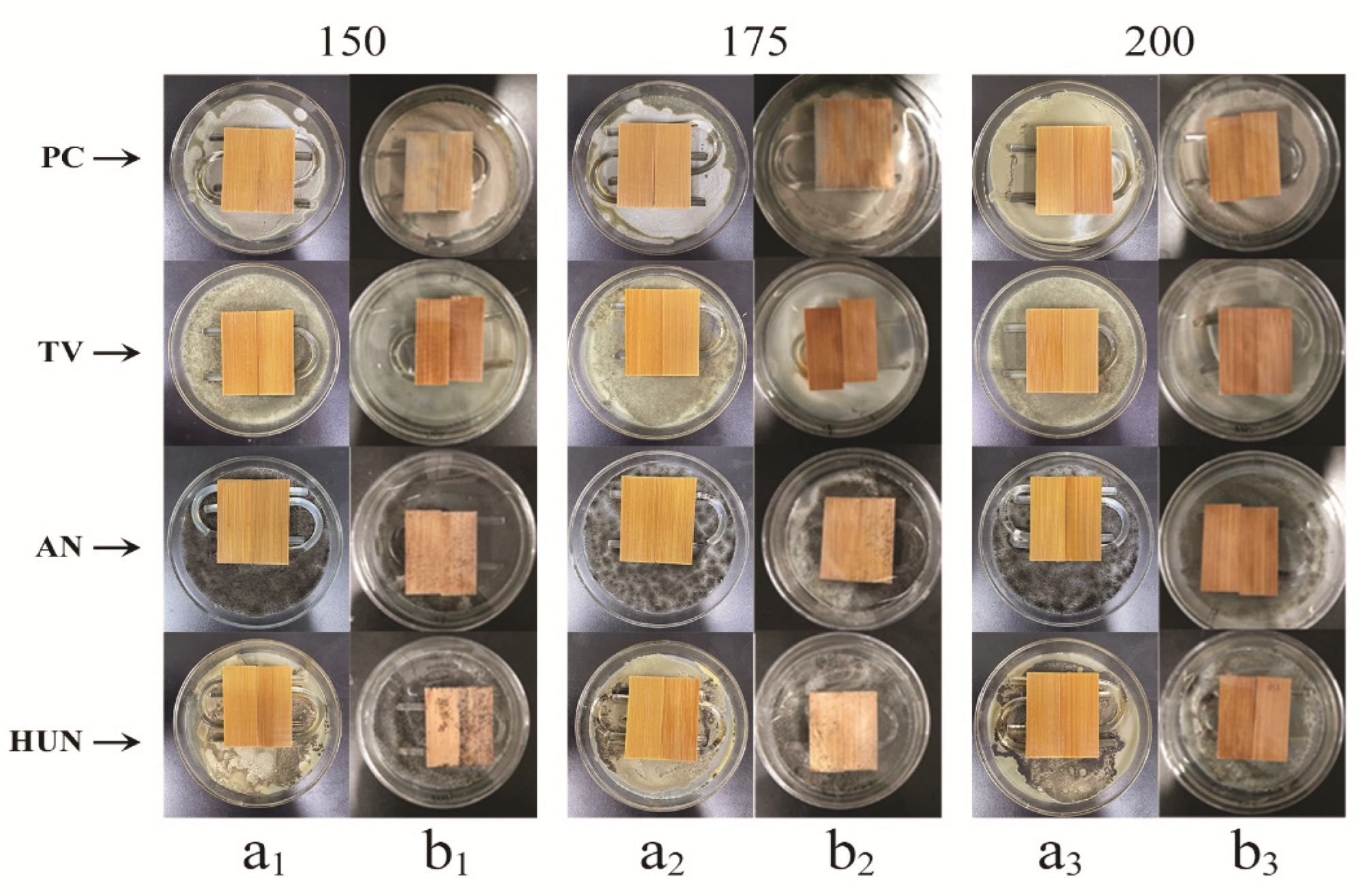 Polymers 14 04652 g008 Polymers 14 04652 g008