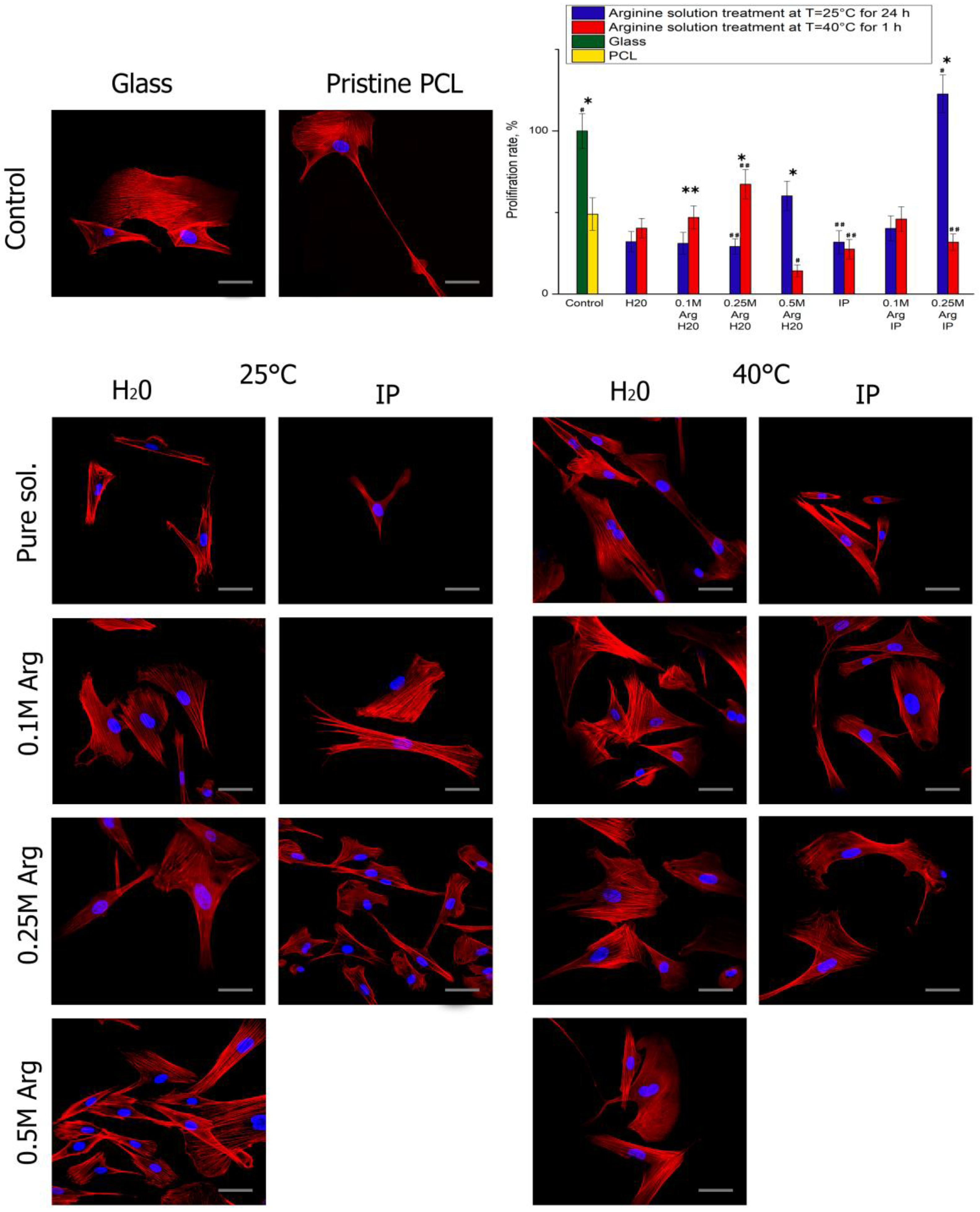 Polymers 14 04654 g004 Polymers 14 04654 g004