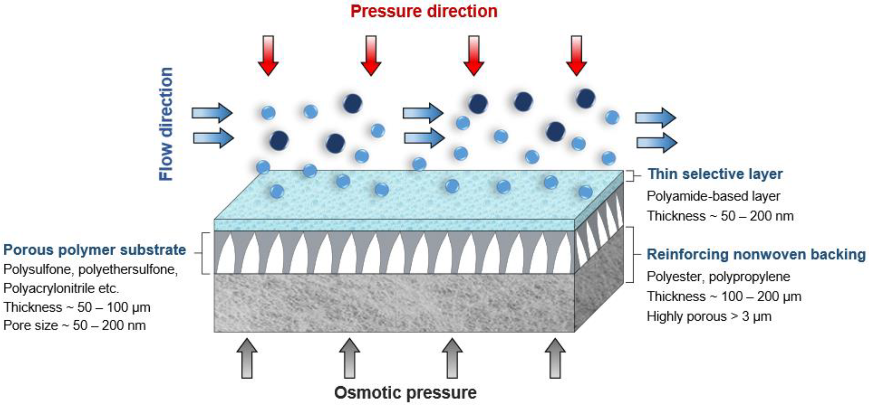 Polymers 14 04657 g001