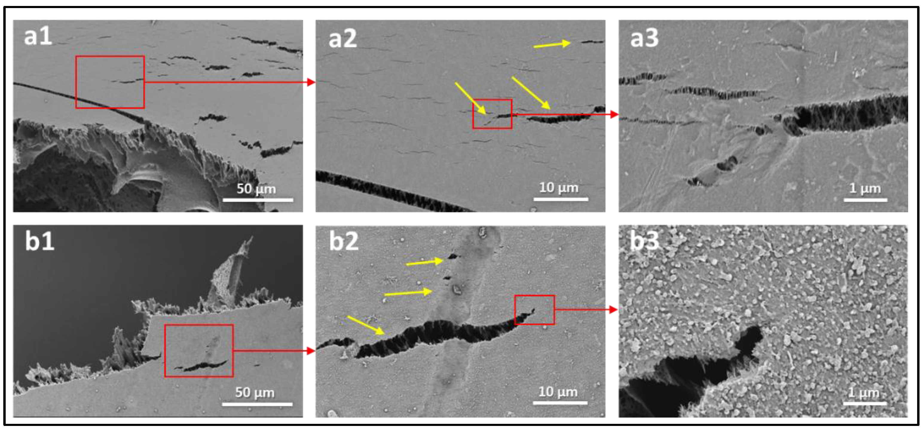 Polymers 14 04657 g010